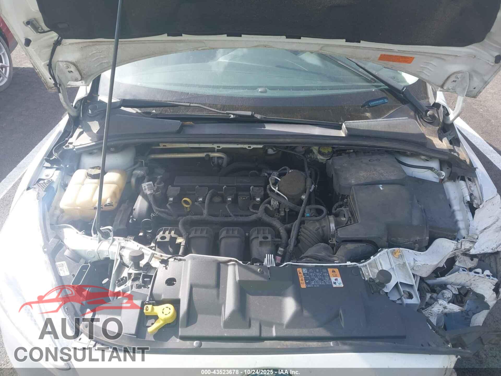 FORD FOCUS 2015 - 1FADP3F29FL238515