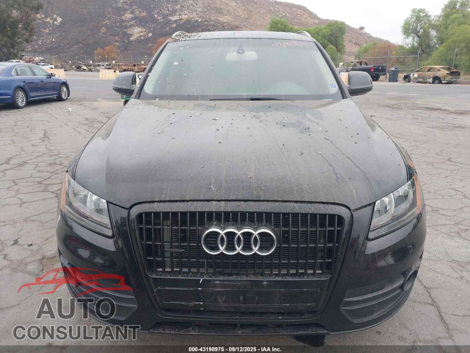 AUDI Q5 2012 - WA1CFAFP2CA049568