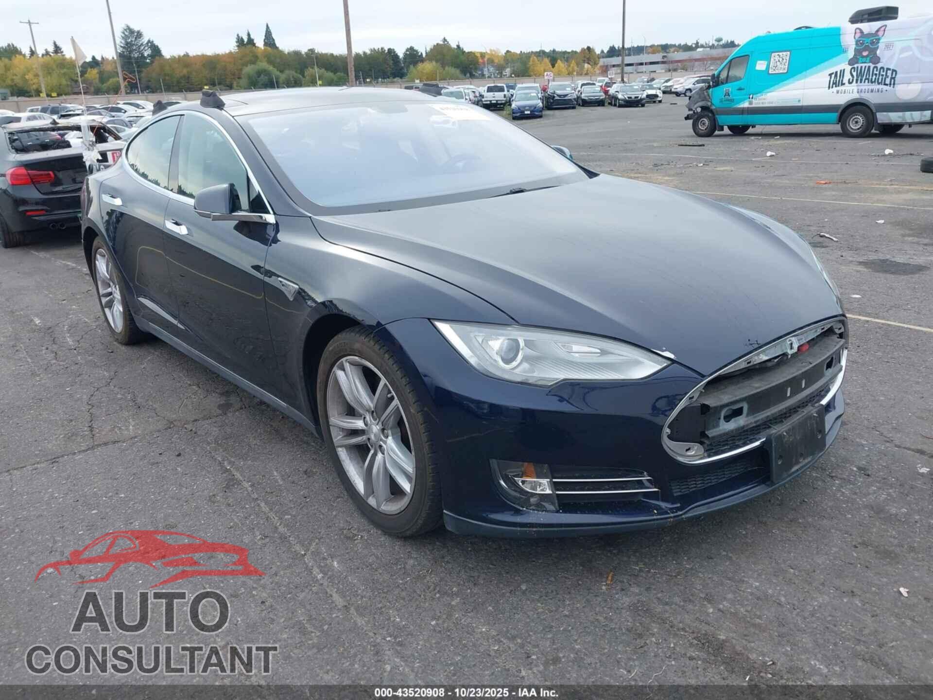 TESLA MODEL S 2013 - 5YJSA1CG4DFP03547