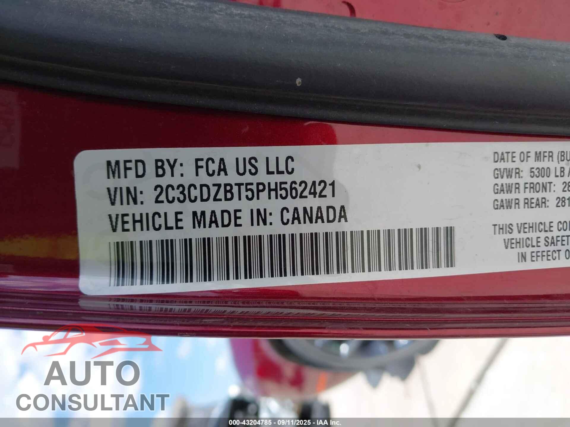 DODGE CHALLENGER 2023 - 2C3CDZBT5PH562421