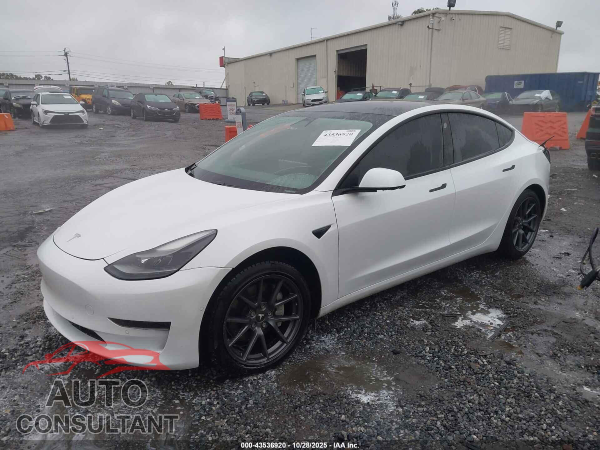 TESLA MODEL 3 2021 - 5YJ3E1EA2MF913341