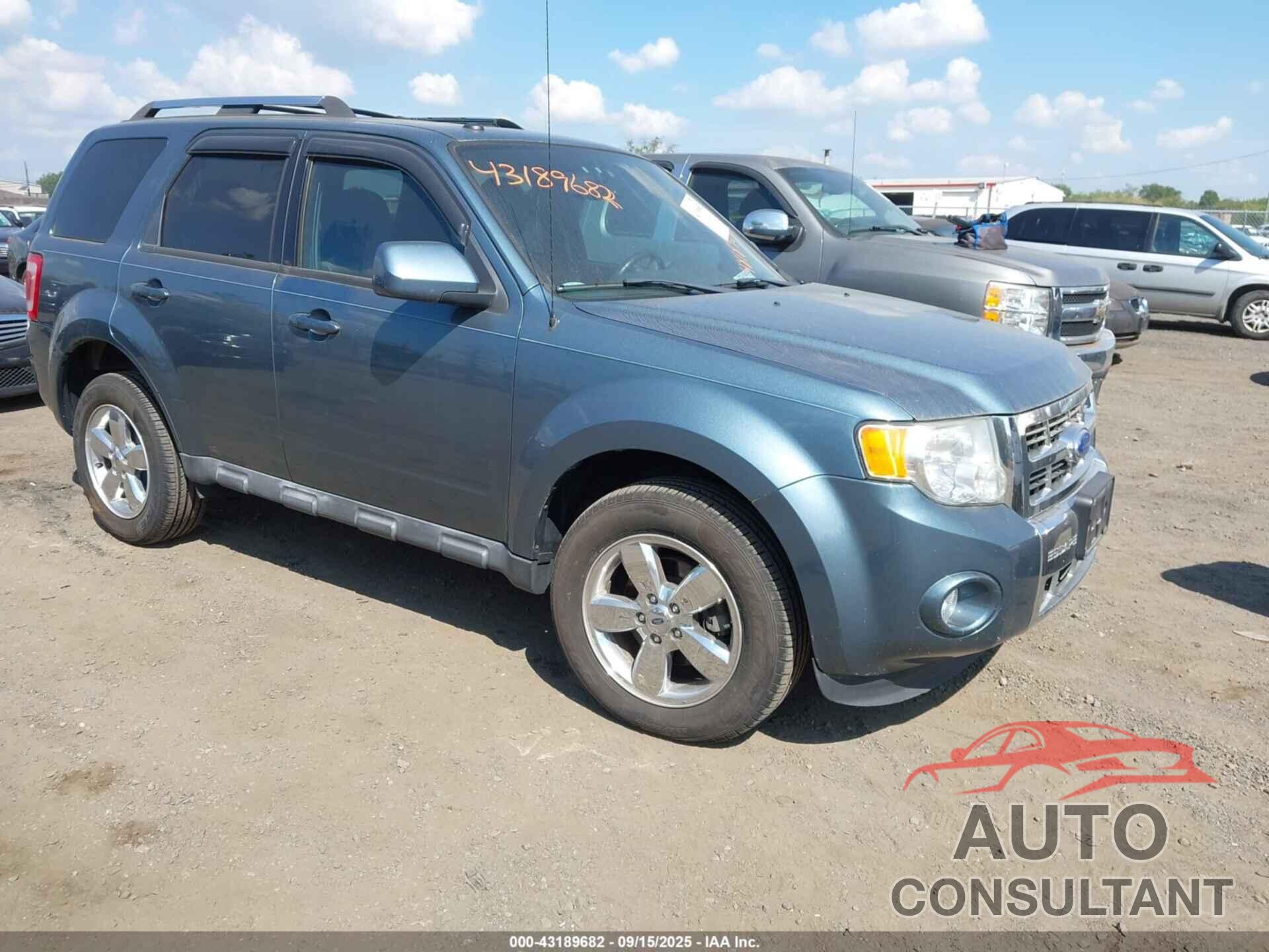 FORD ESCAPE 2011 - 1FMCU9EG0BKC08071