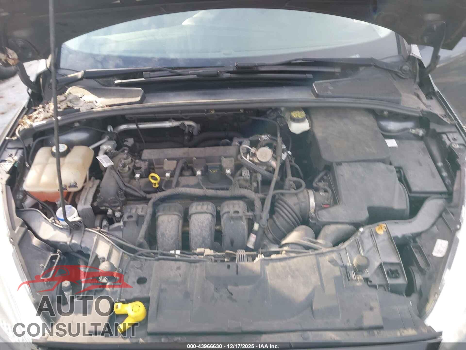 FORD FOCUS 2017 - 1FADP3E20HL276123