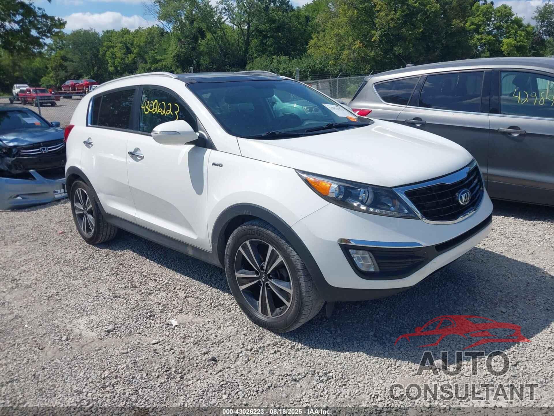 KIA SPORTAGE 2016 - KNDPCCA62G7870988