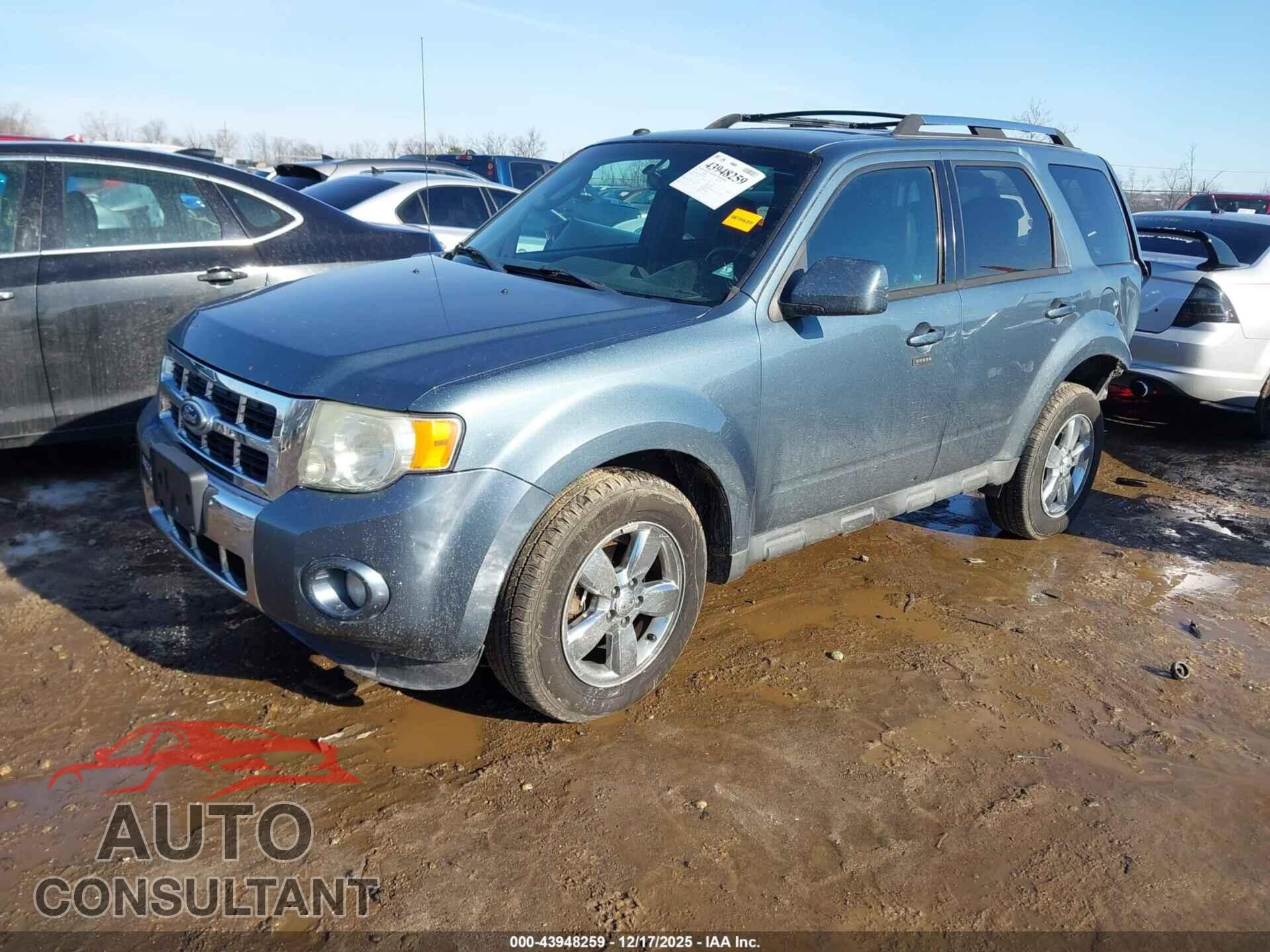 FORD ESCAPE 2011 - 1FMCU0EG7BKB21957