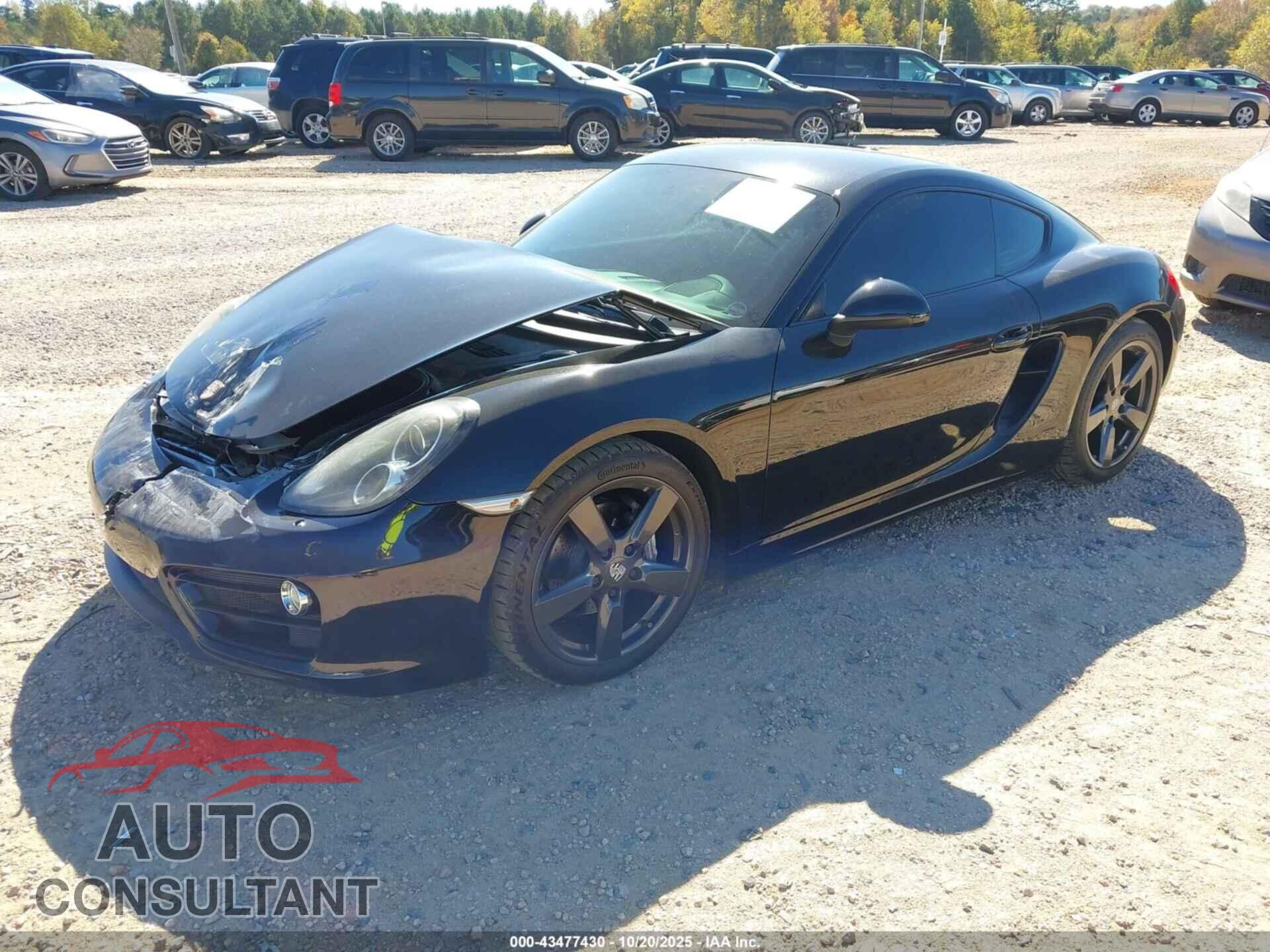 PORSCHE CAYMAN 2014 - WP0AA2A83EK172830