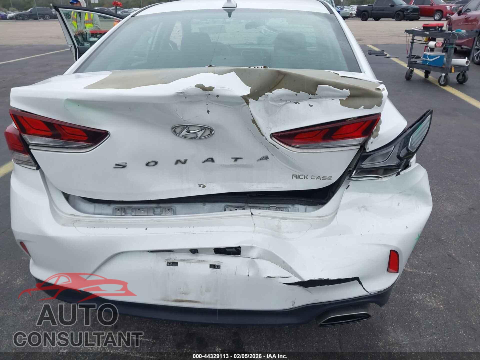 HYUNDAI SONATA 2019 - 5NPE24AF7KH782510