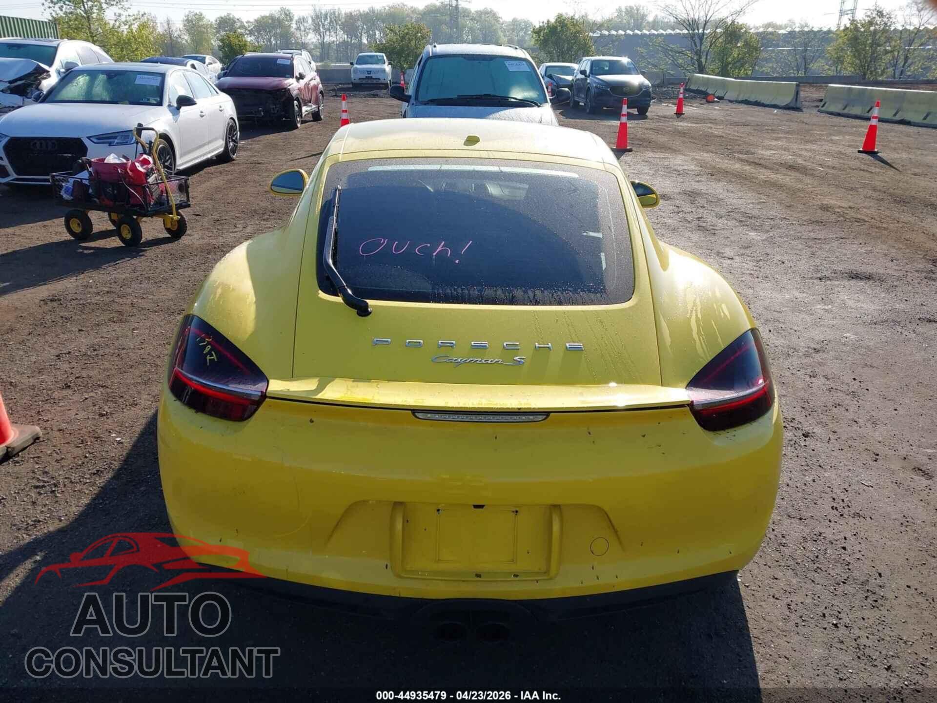 PORSCHE CAYMAN 2014 - WP0AB2A89EK190651