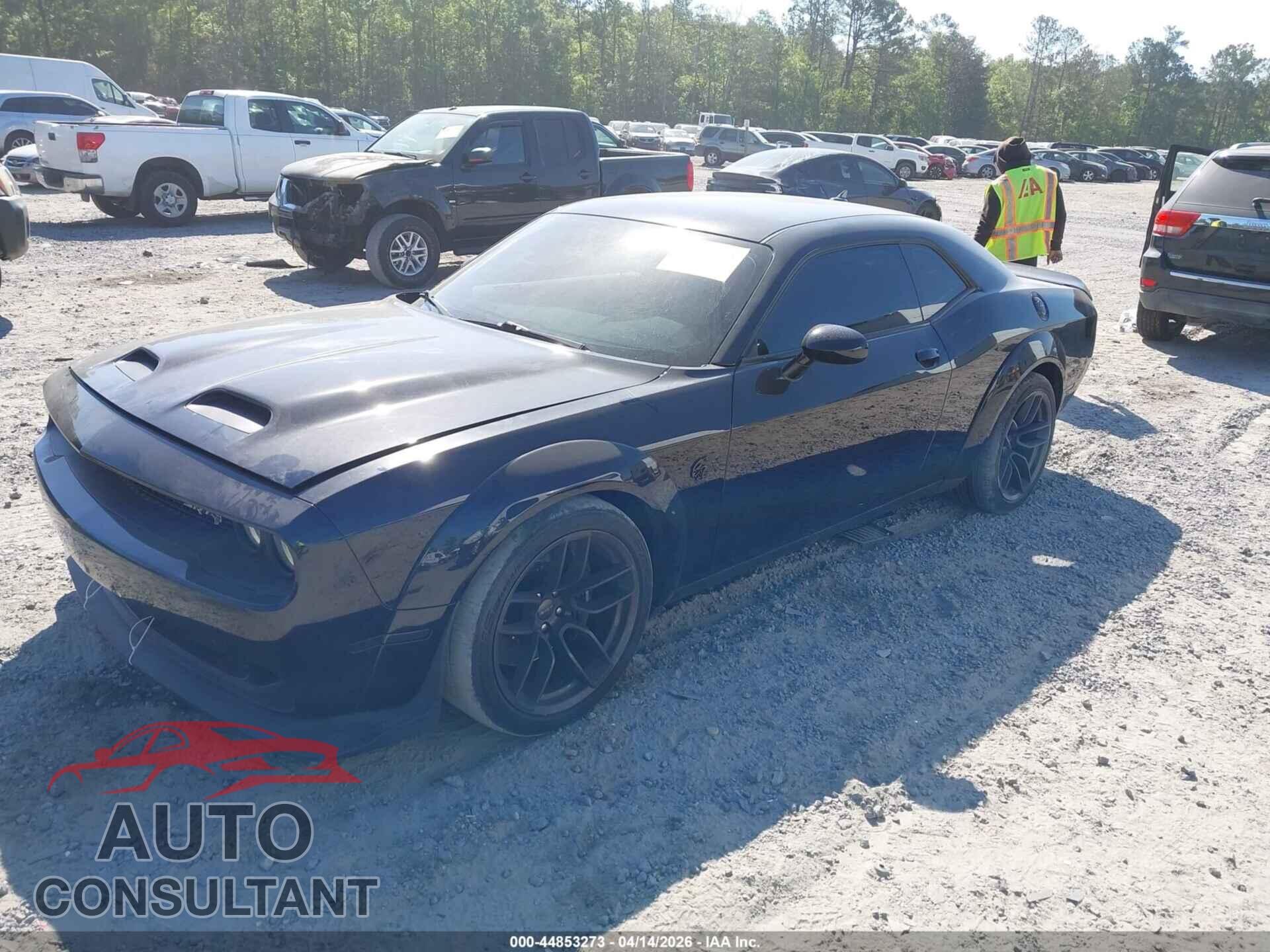 DODGE CHALLENGER 2019 - 2C3CDZL95KH751808