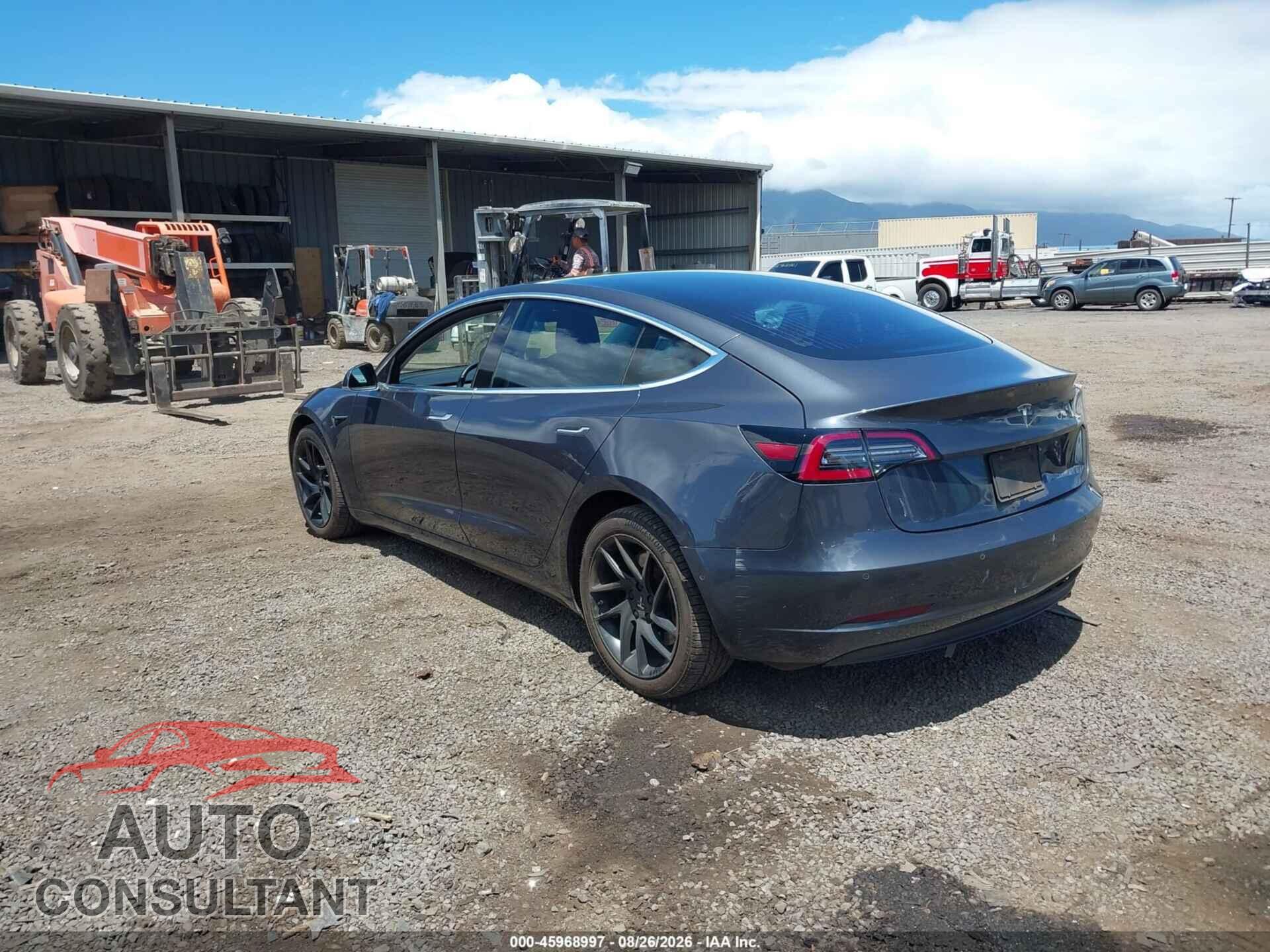 TESLA MODEL 3 2019 - 5YJ3E1EA2KF307289