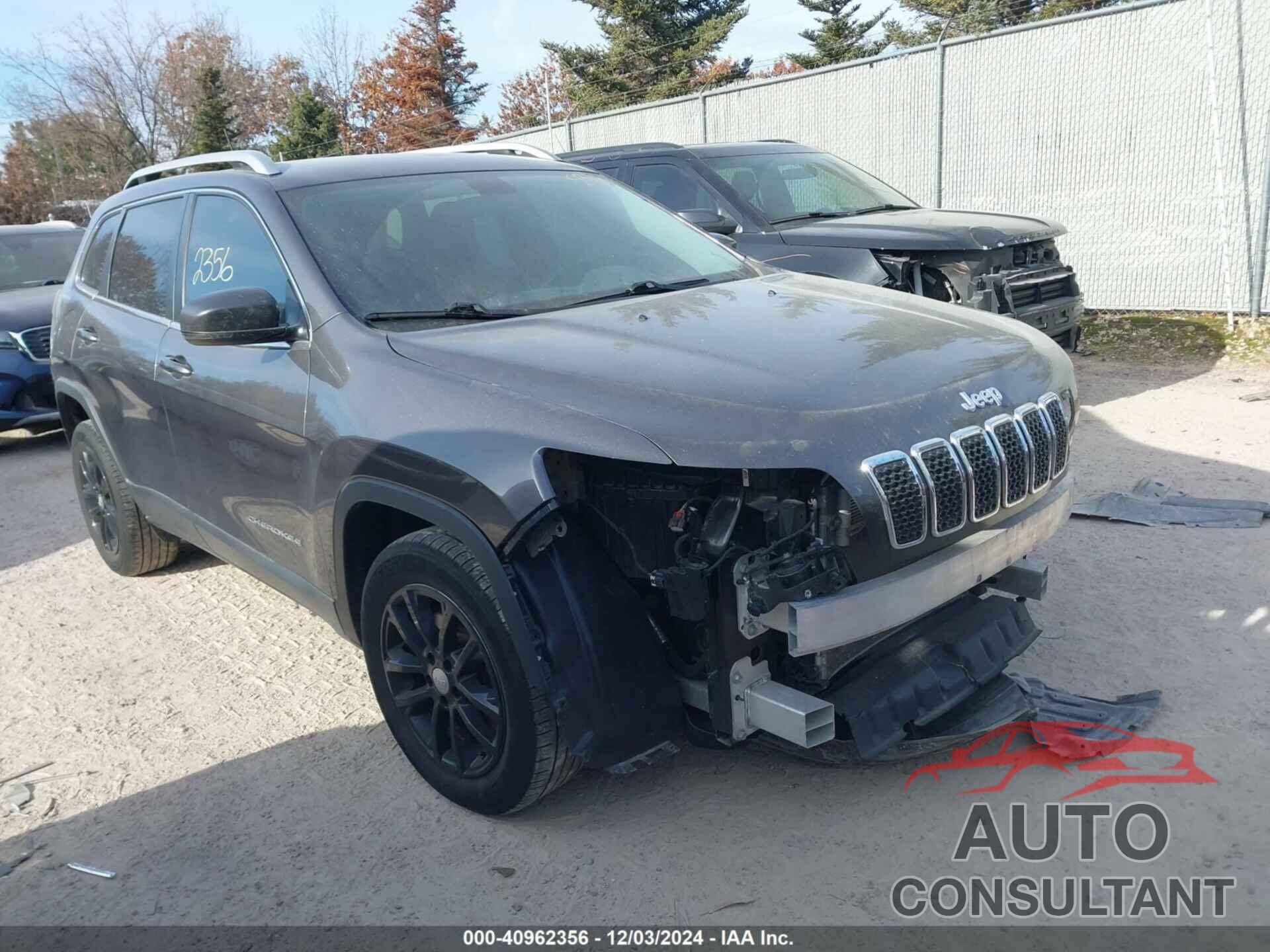 JEEP CHEROKEE 2019 - 1C4PJLLB0KD272375