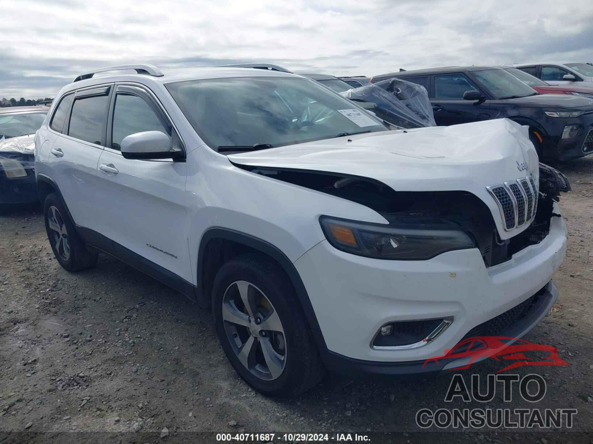 JEEP CHEROKEE 2019 - 1C4PJMDXXKD336812