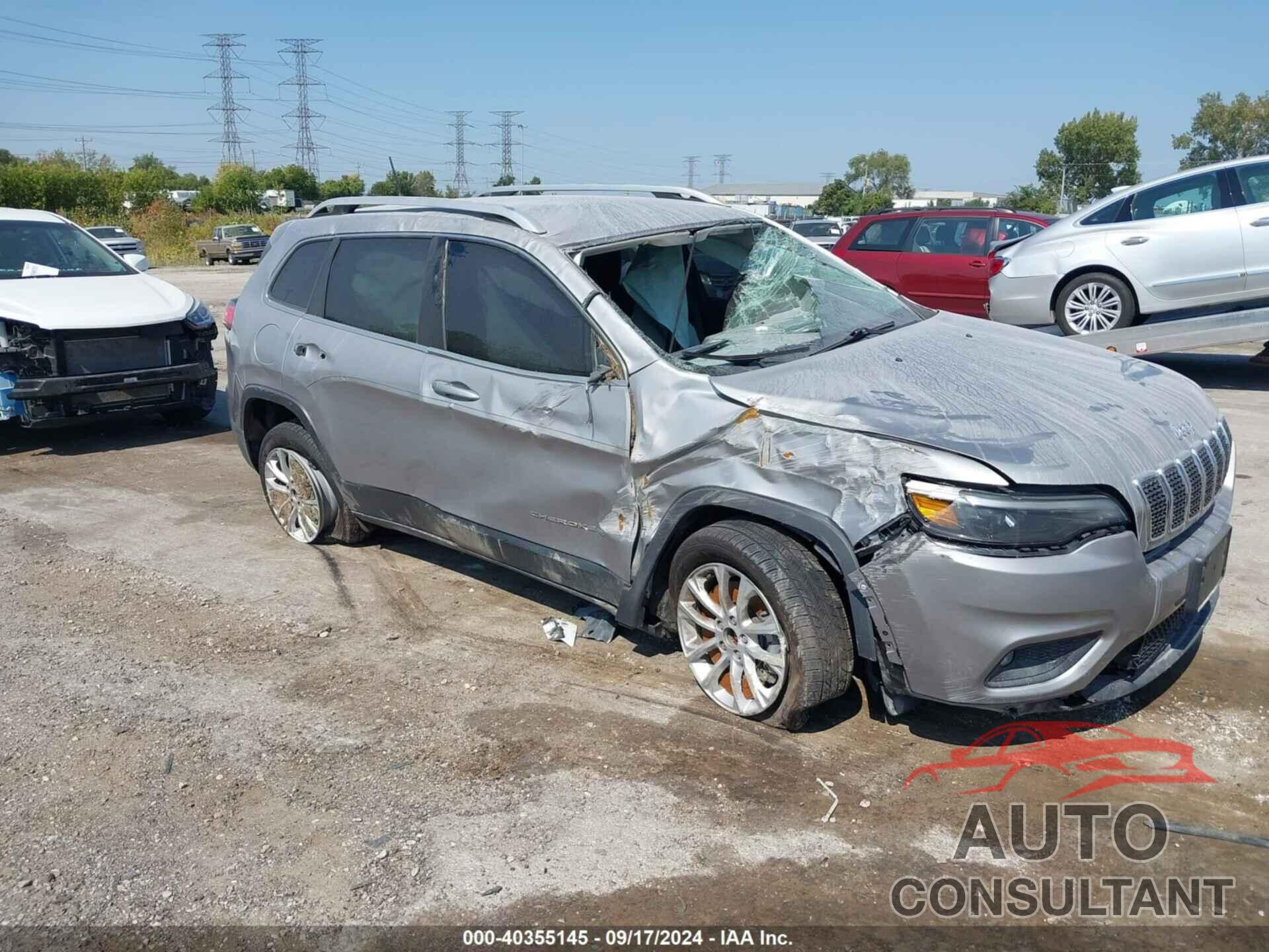 JEEP CHEROKEE 2019 - 1C4PJLCX0KD221681