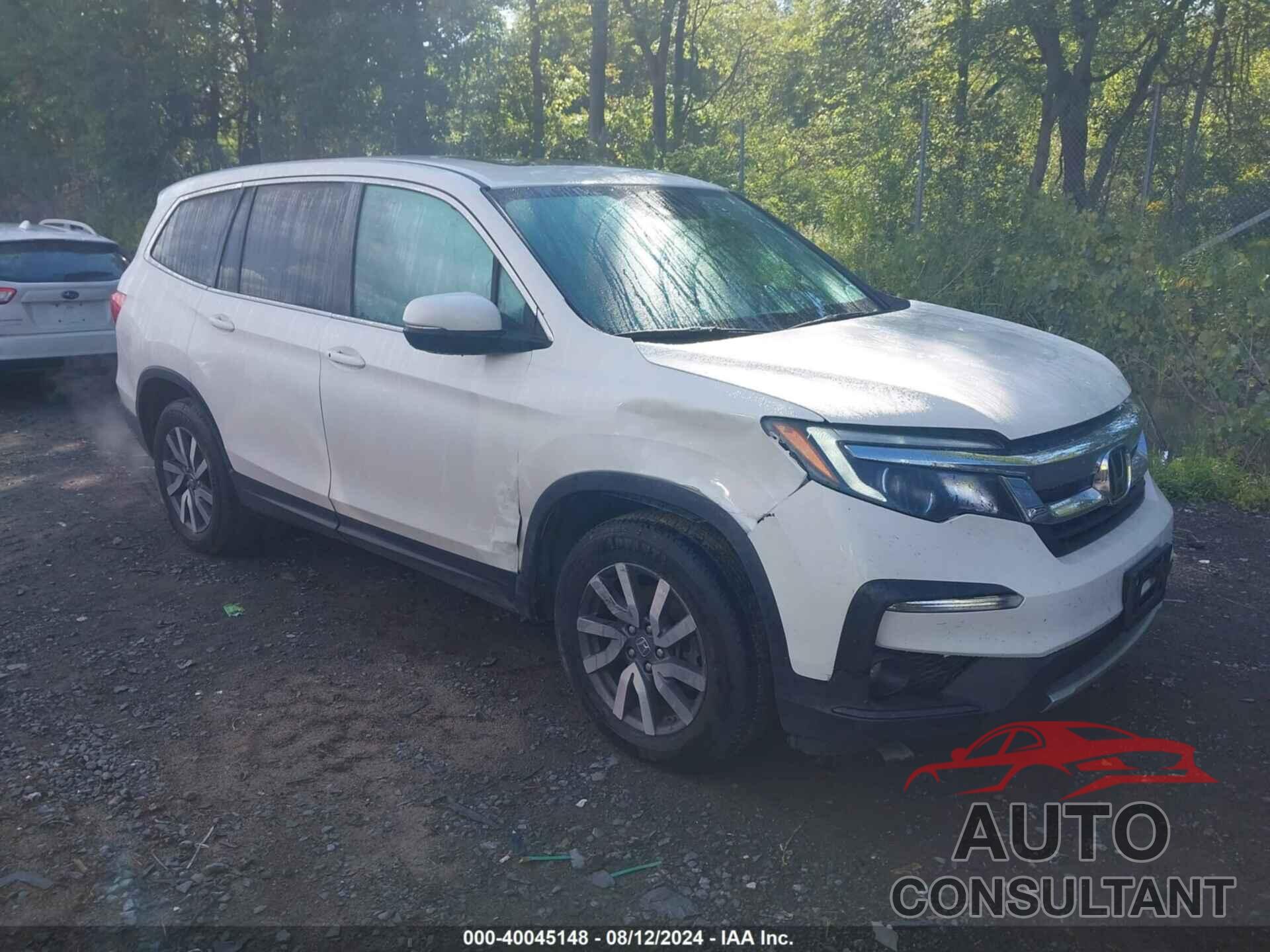 HONDA PILOT 2019 - 5FNYF6H52KB055851