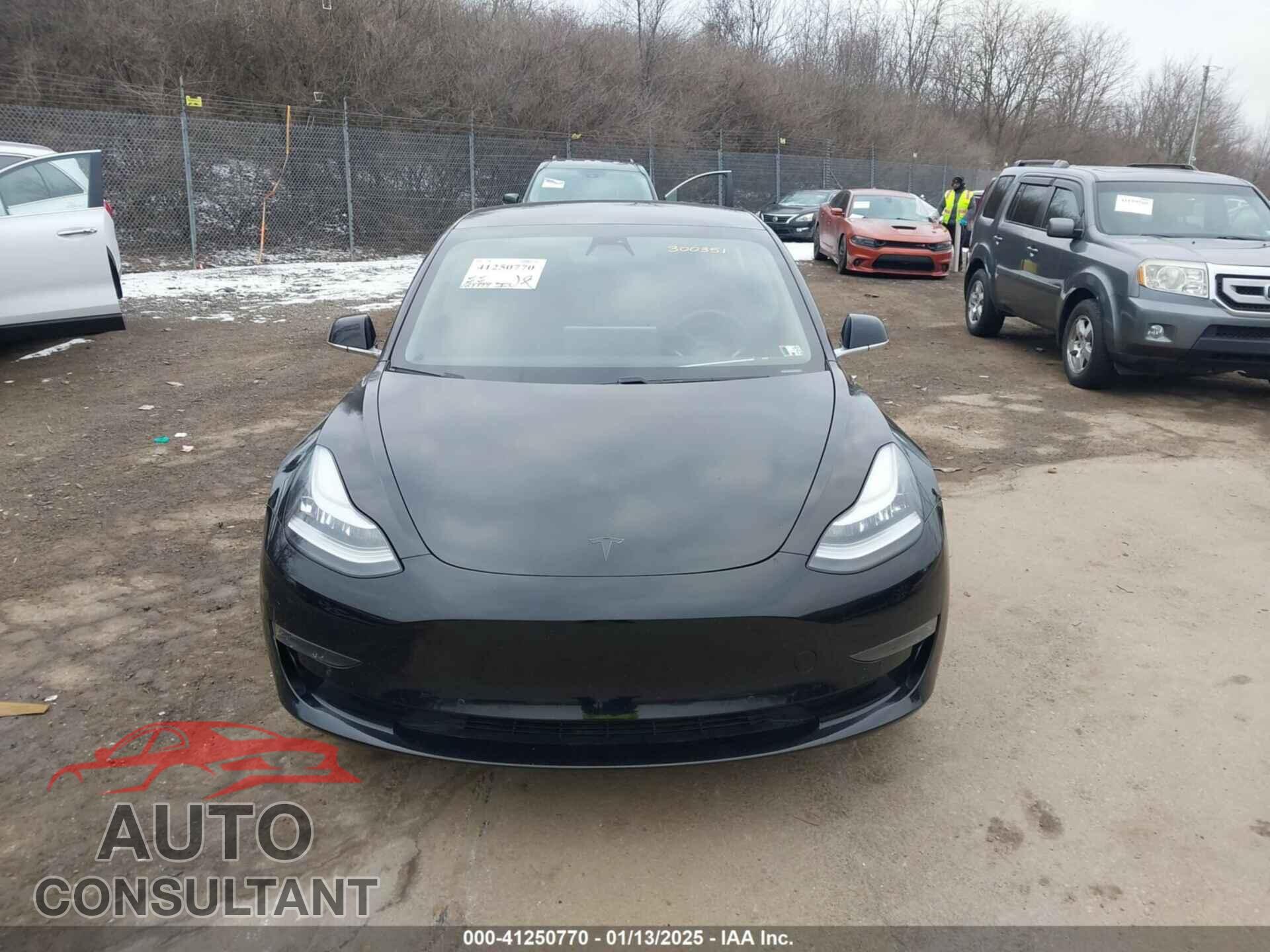 TESLA MODEL 3 2019 - 5YJ3E1EA1KF300351