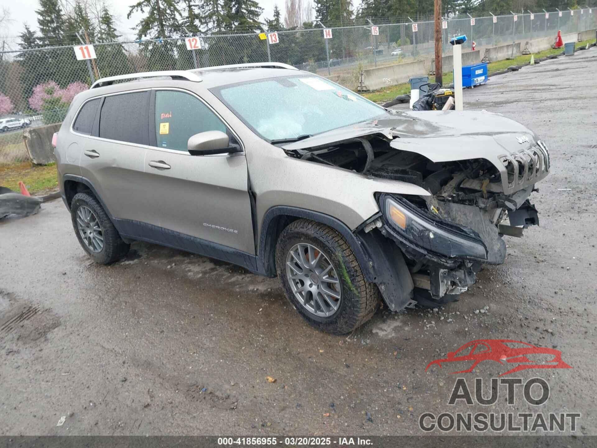 JEEP CHEROKEE 2019 - 1C4PJLCB5KD205495
