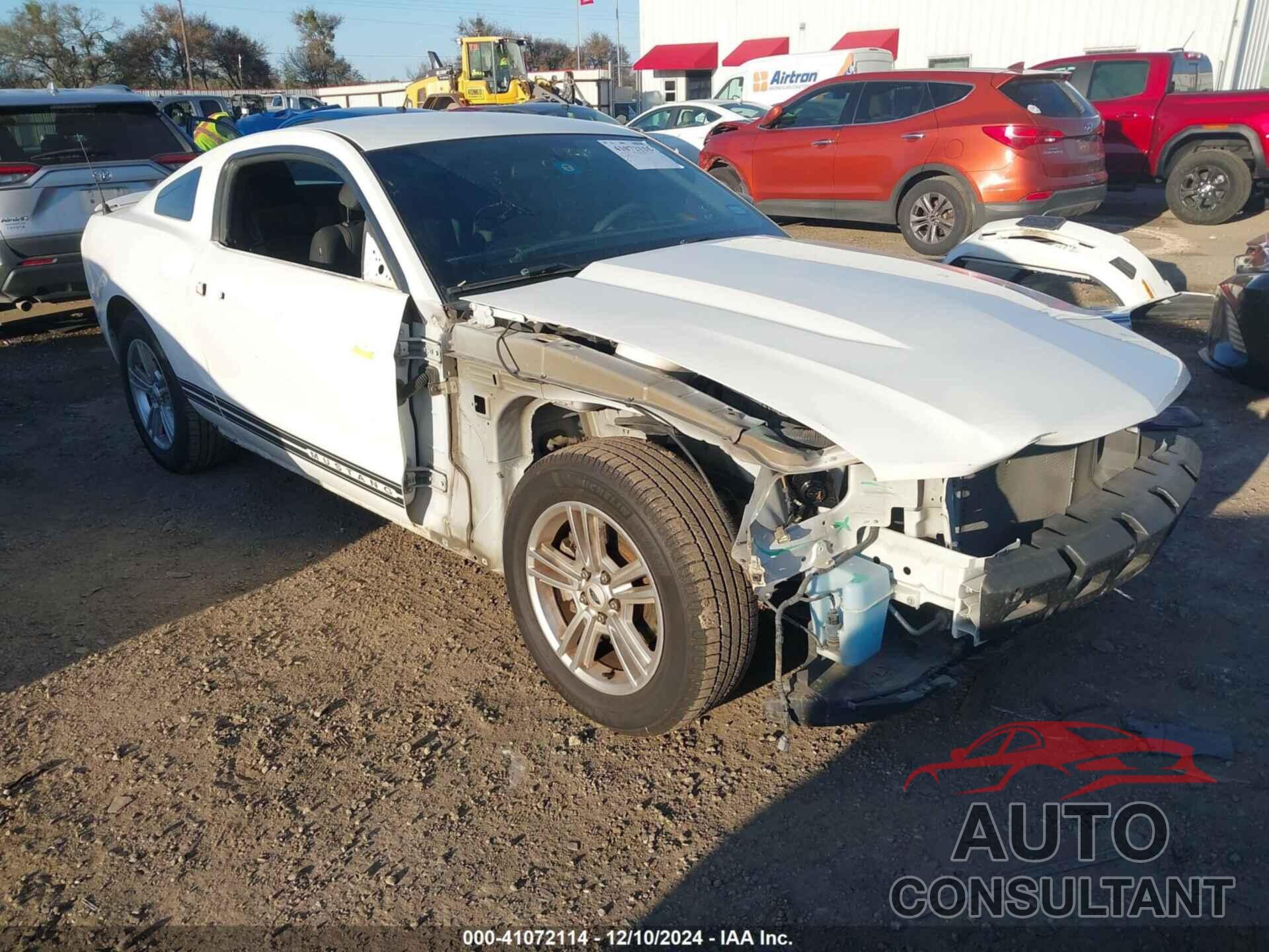 FORD MUSTANG 2011 - 1ZVBP8AM6B5134065