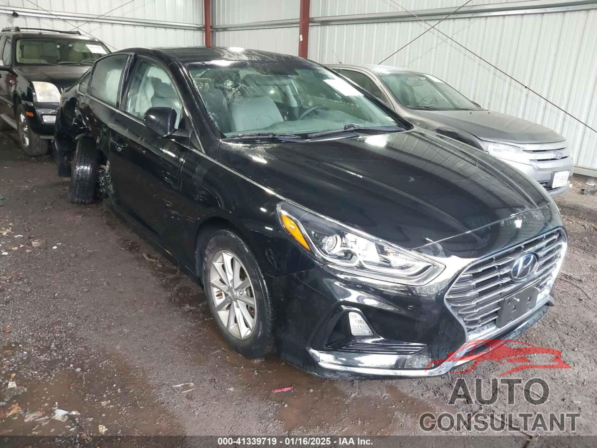 HYUNDAI SONATA 2019 - 5NPE24AF4KH818380