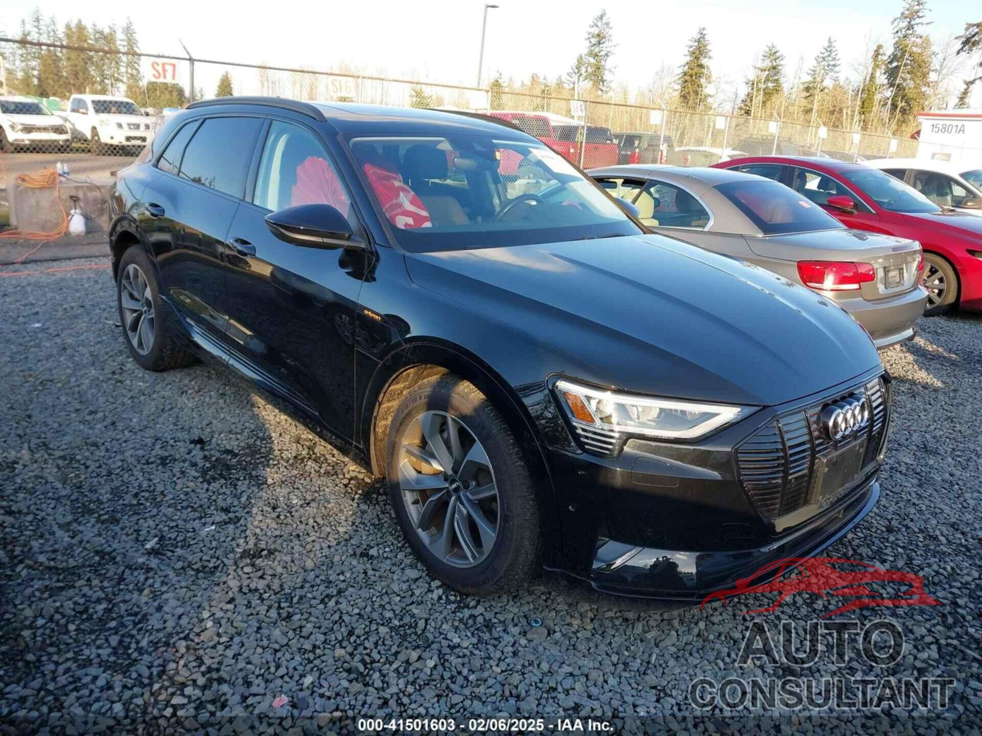 AUDI E-TRON 2021 - WA1LAAGE9MB002545