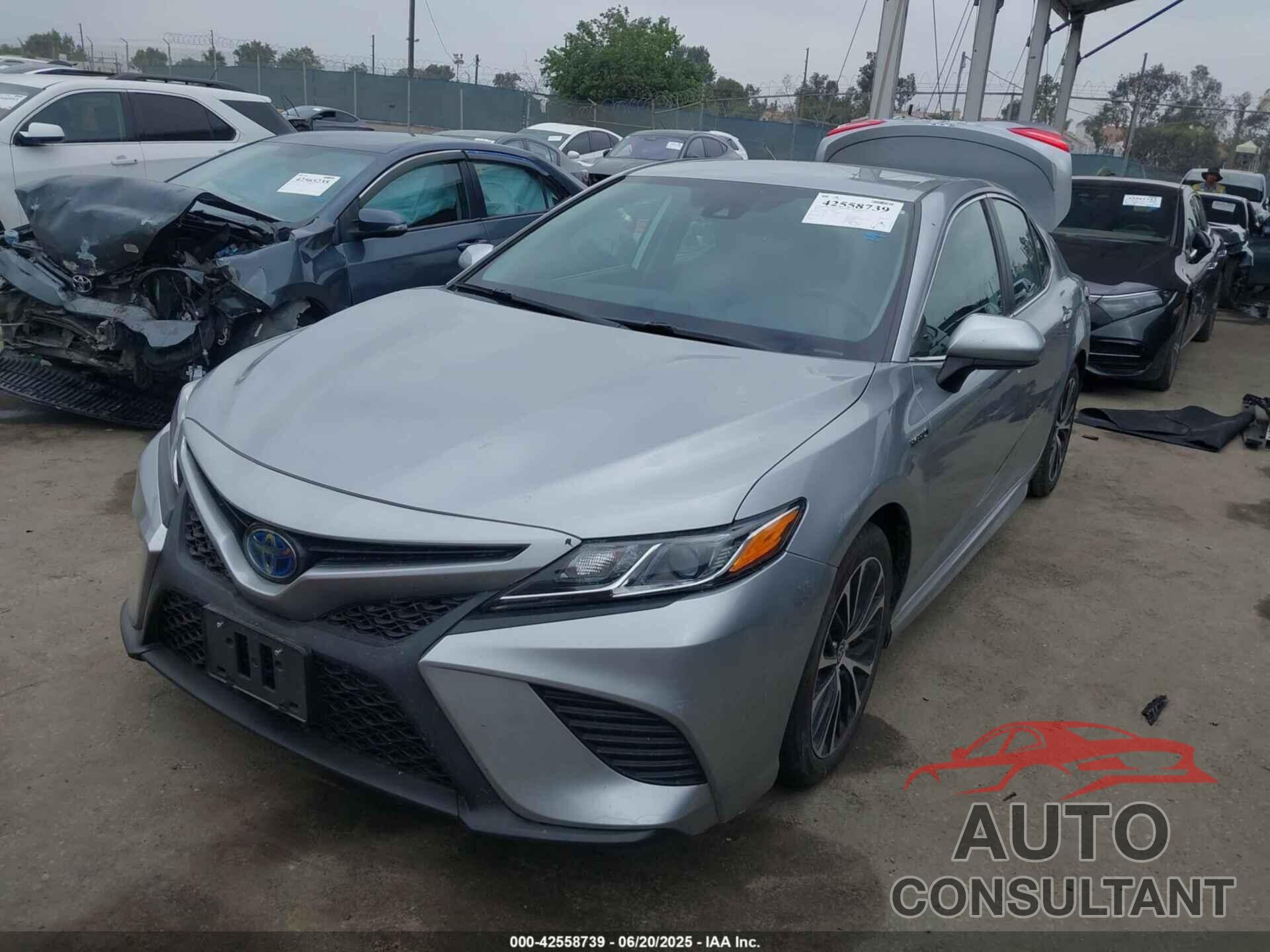 TOYOTA CAMRY 2020 - 4T1G31AK2LU536811