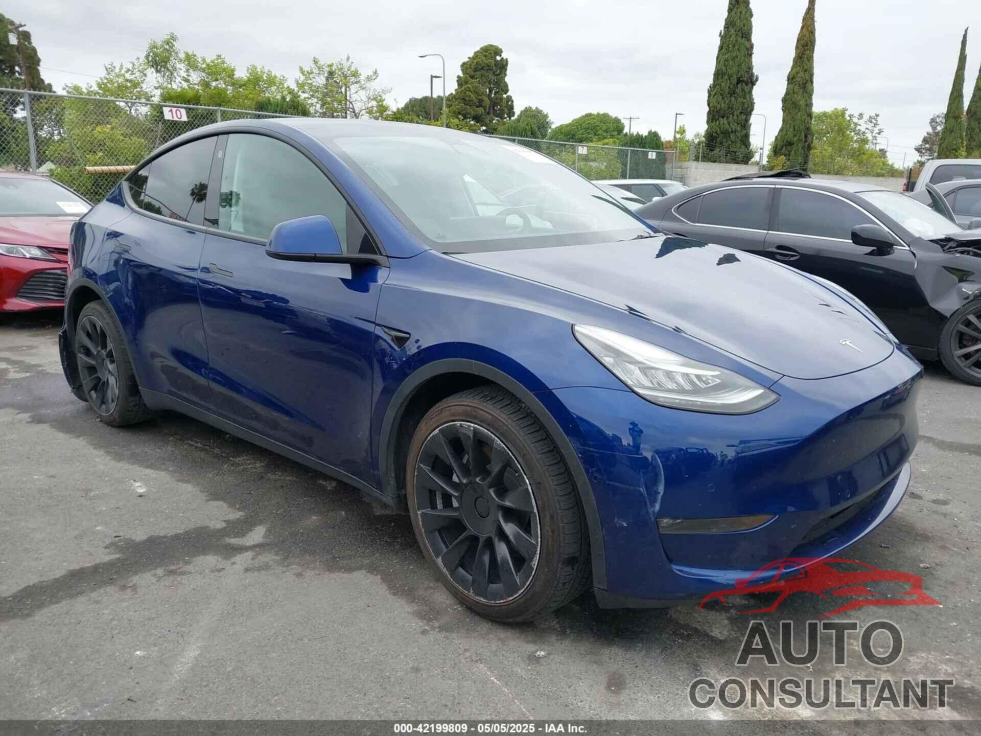 TESLA MODEL Y 2021 - 5YJYGDEE1MF282196