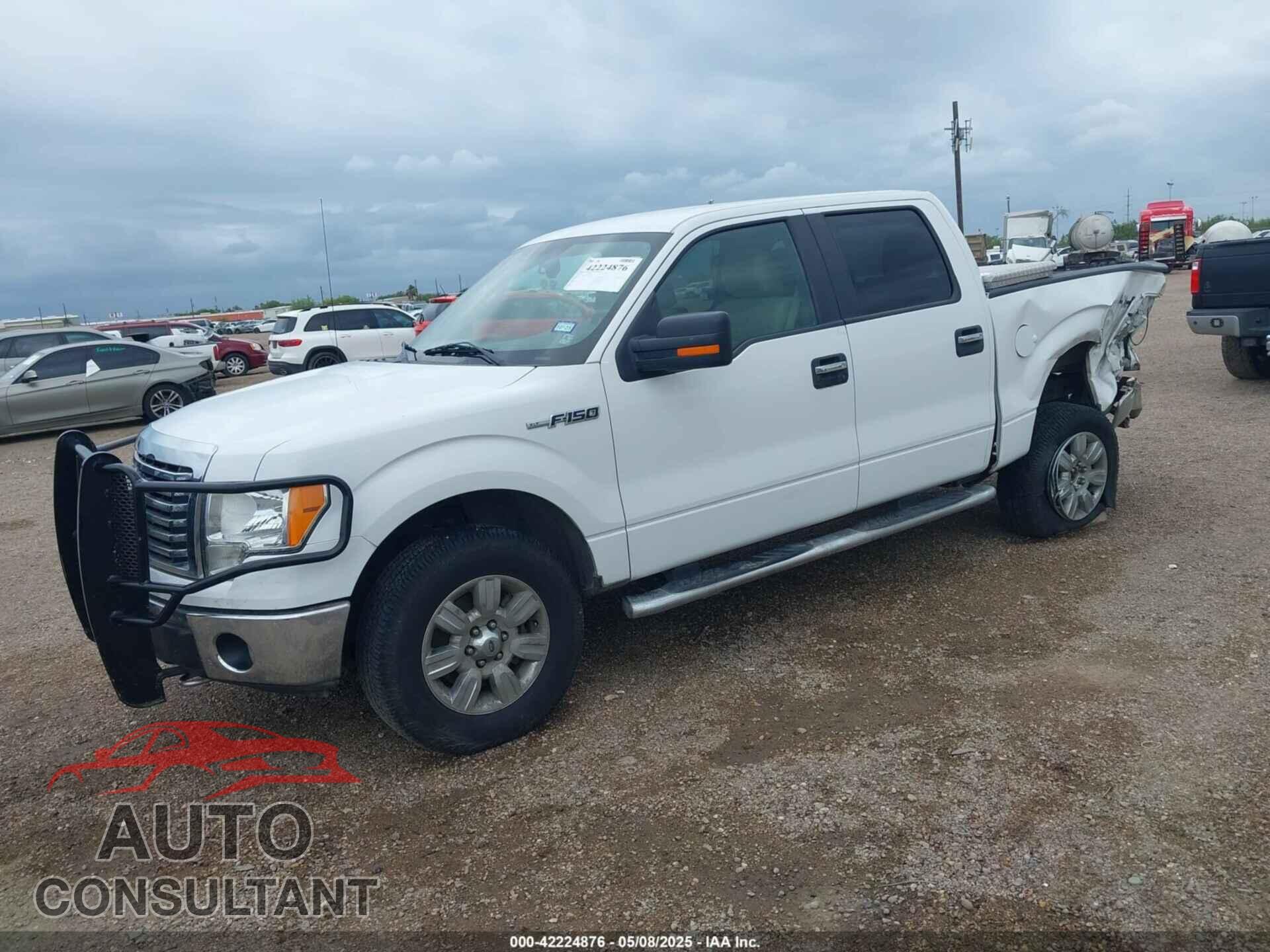 FORD F-150 2010 - 1FTEW1E81AFD42774