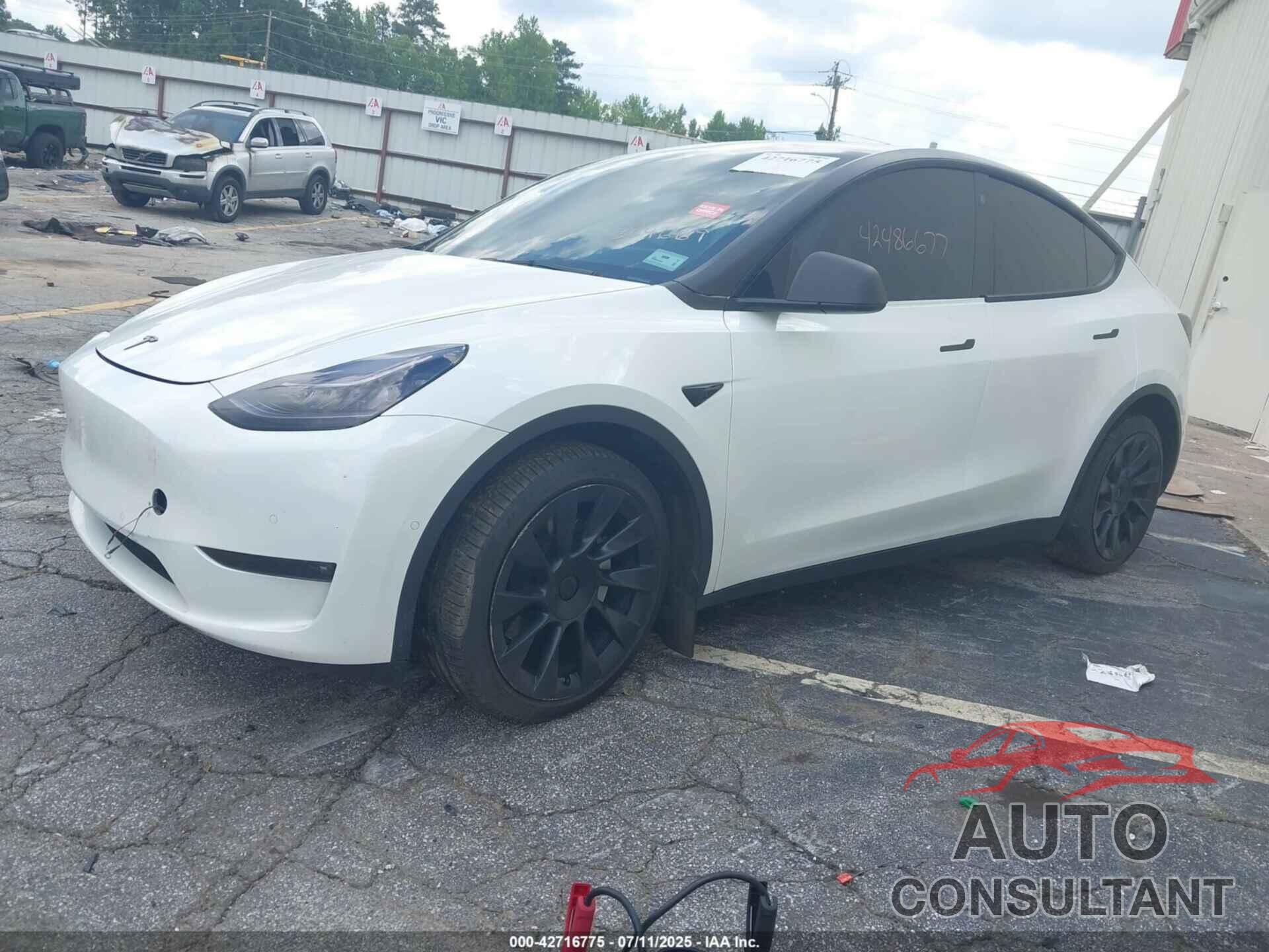 TESLA MODEL Y 2022 - 7SAYGDEE6NF364669