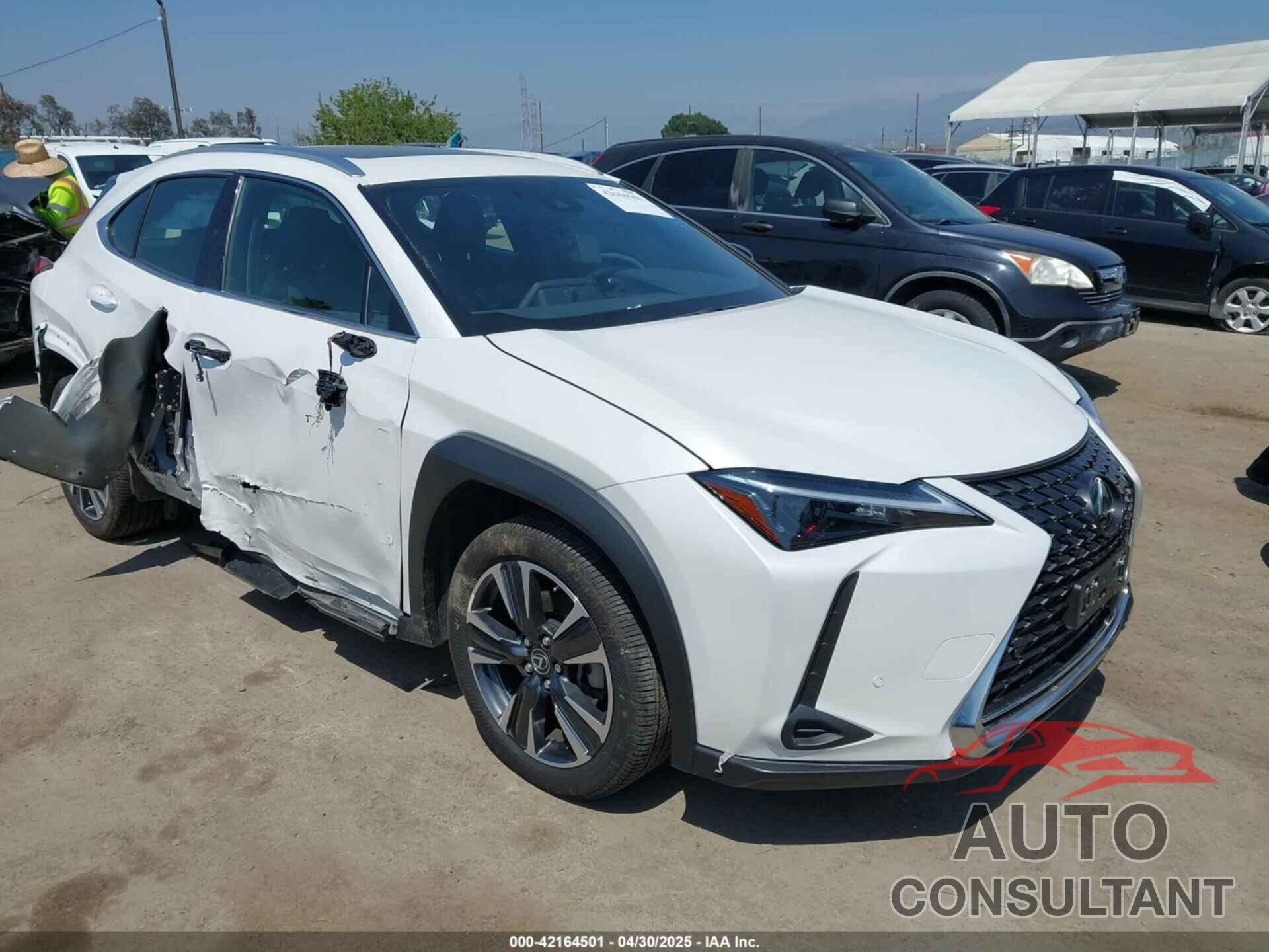 LEXUS UX 250H 2024 - JTHX6JBHXR2186541