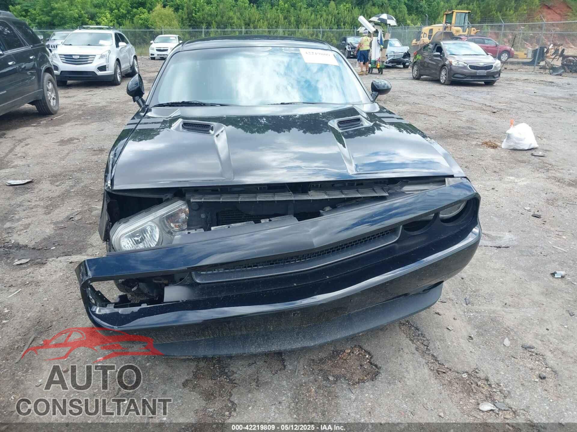 DODGE CHALLENGER 2013 - 2C3CDYAG0DH540546