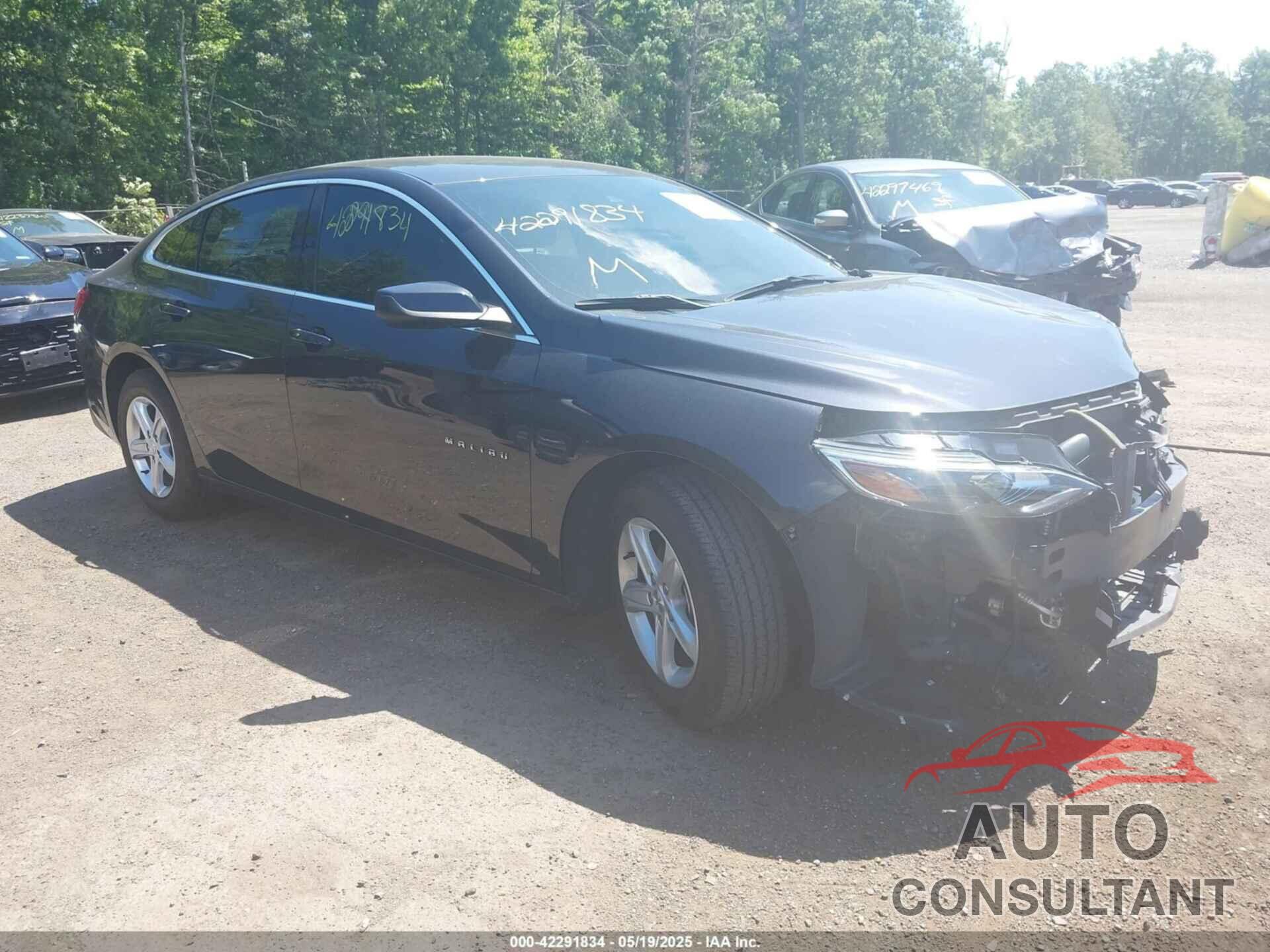 CHEVROLET MALIBU 2023 - 1G1ZD5ST6PF175434