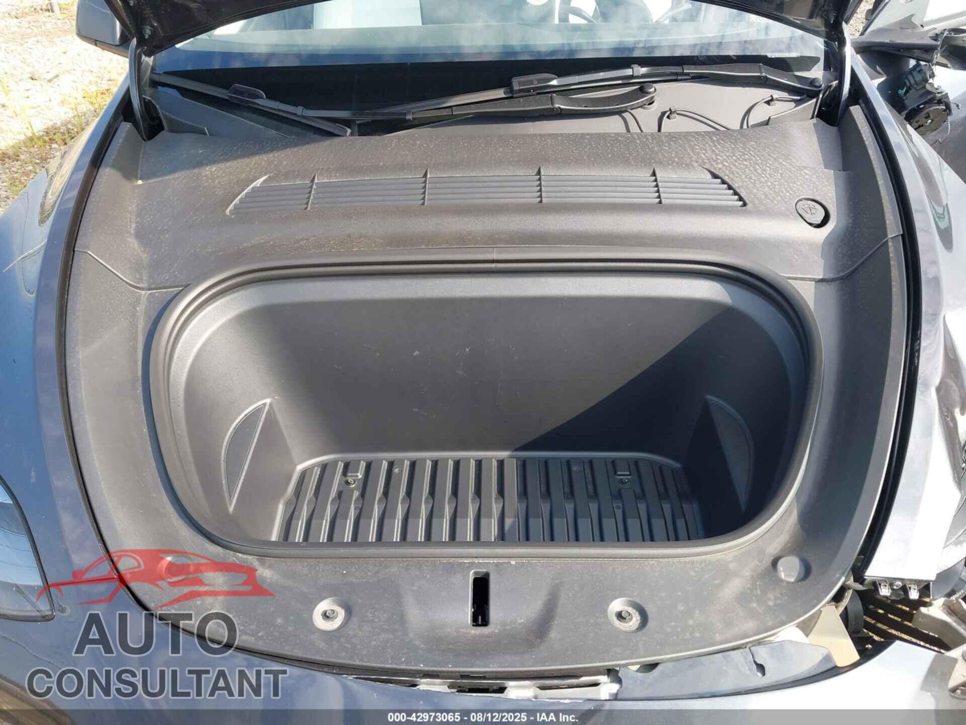 TESLA MODEL Y 2024 - 7SAYGDEE2RF190864