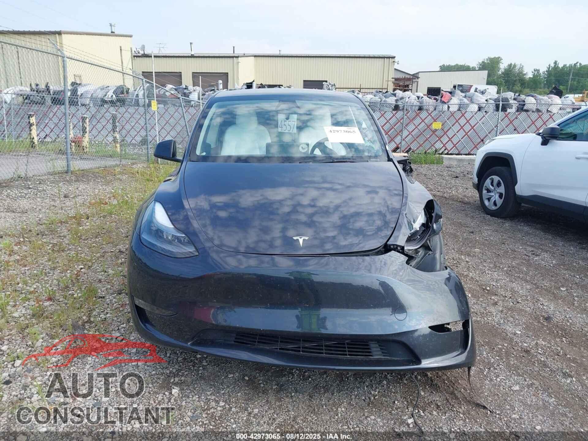 TESLA MODEL Y 2024 - 7SAYGDEE2RF190864