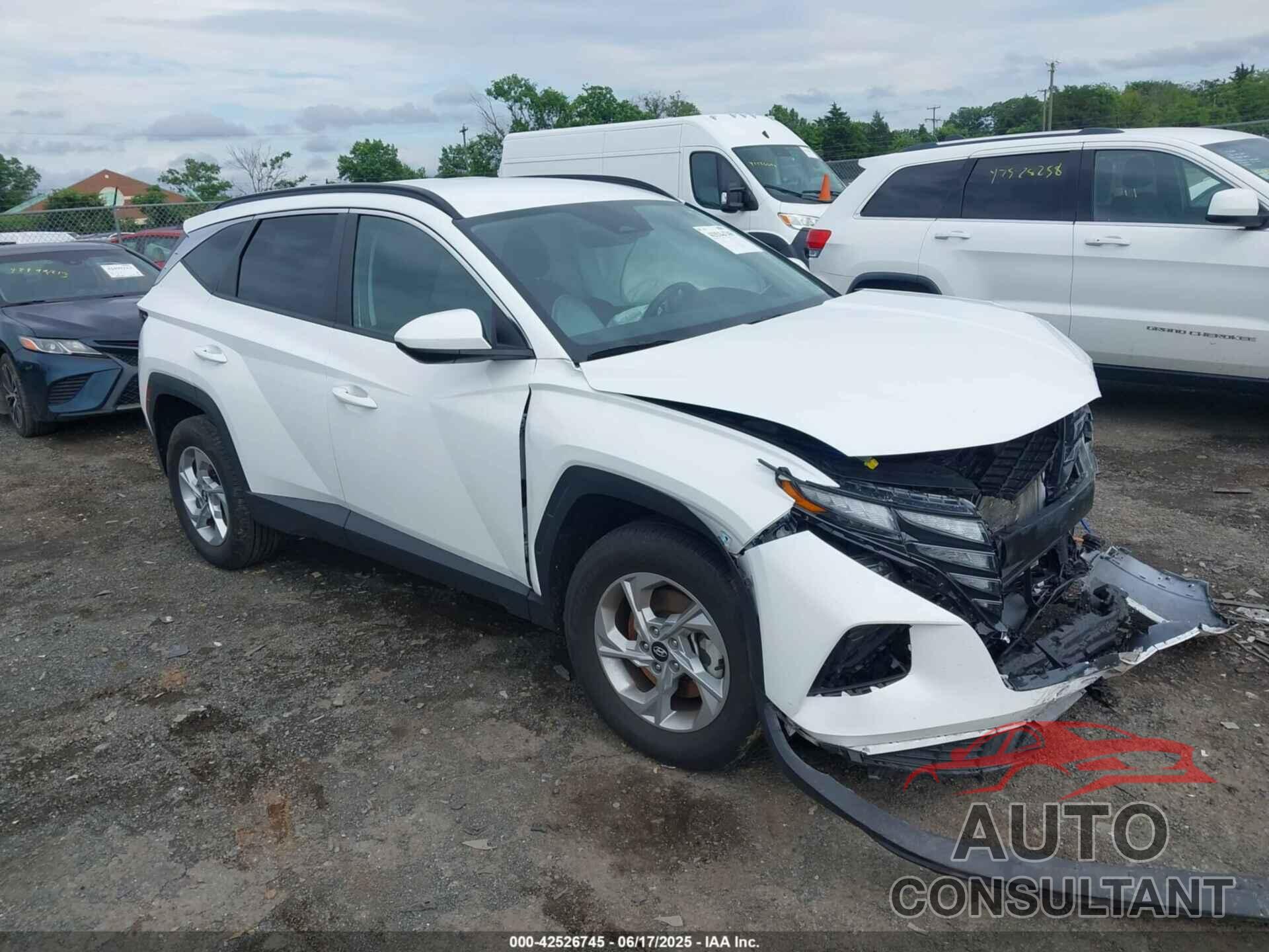 HYUNDAI TUCSON 2024 - 5NMJBCDE6RH407999
