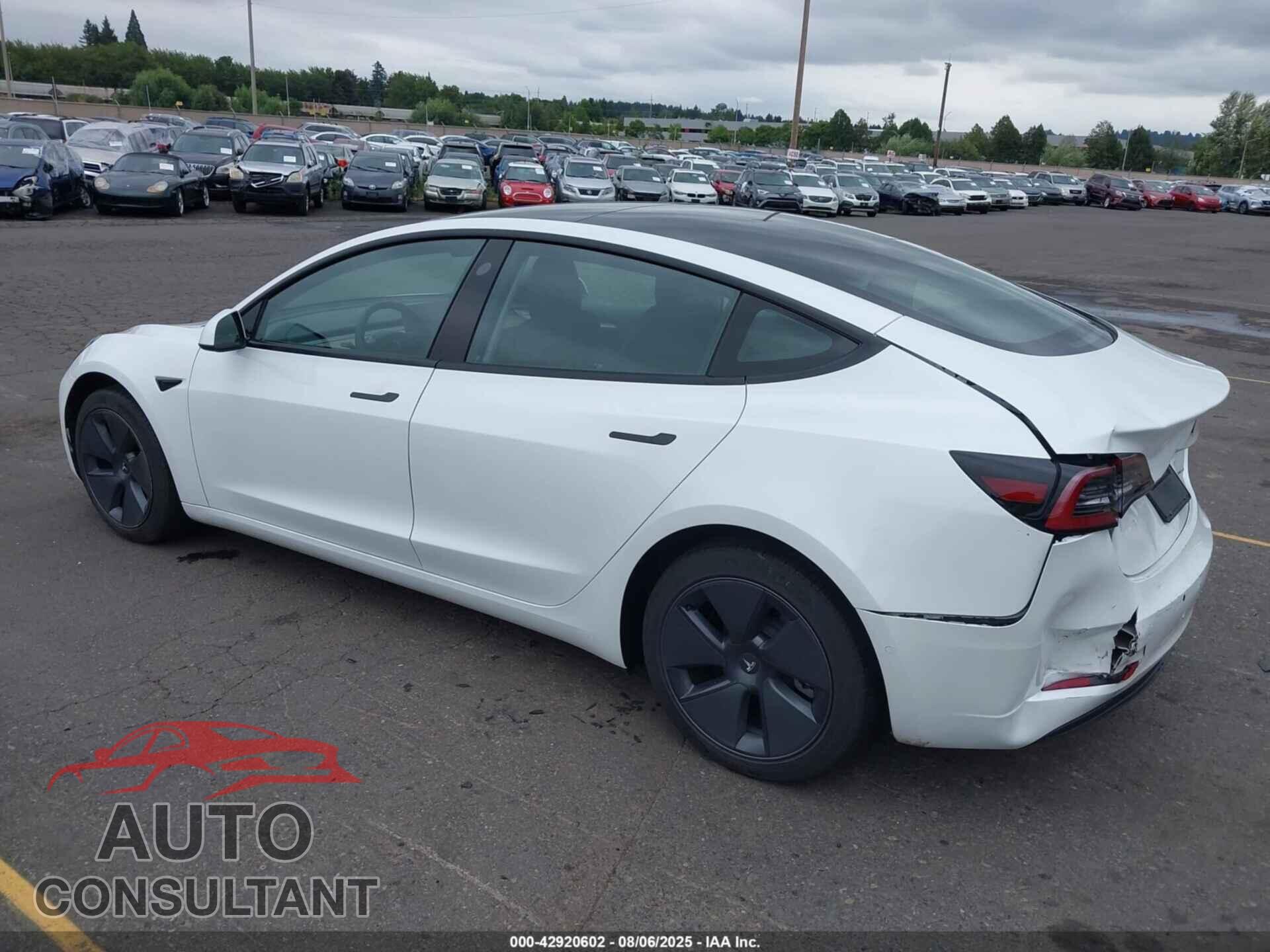 TESLA MODEL 3 2022 - 5YJ3E1EB7NF249922