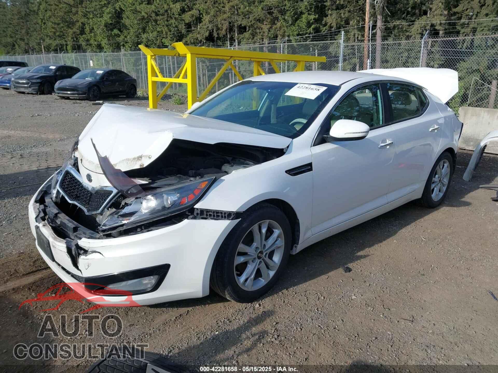 KIA OPTIMA 2011 - KNAGN4A73B5119084