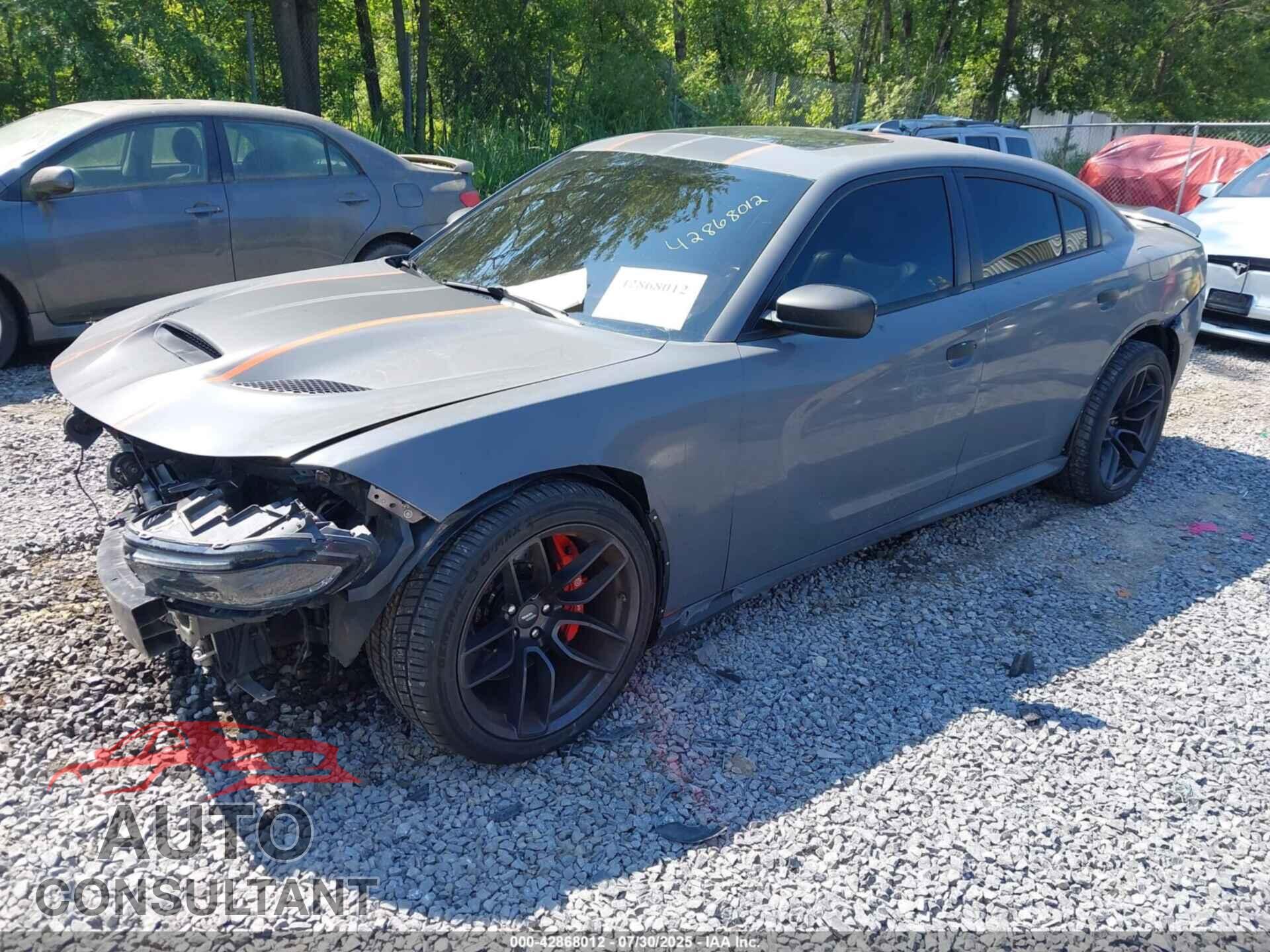 DODGE CHARGER 2015 - 2C3CDXCT9FH917141