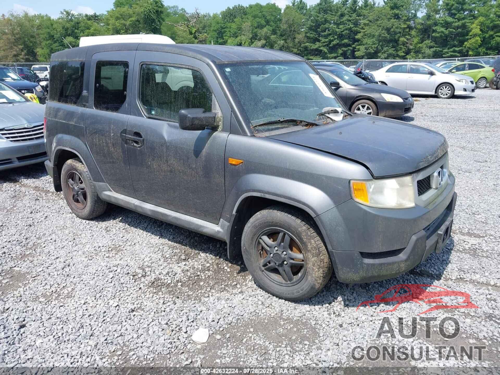HONDA ELEMENT 2009 - 5J6YH28329L001324