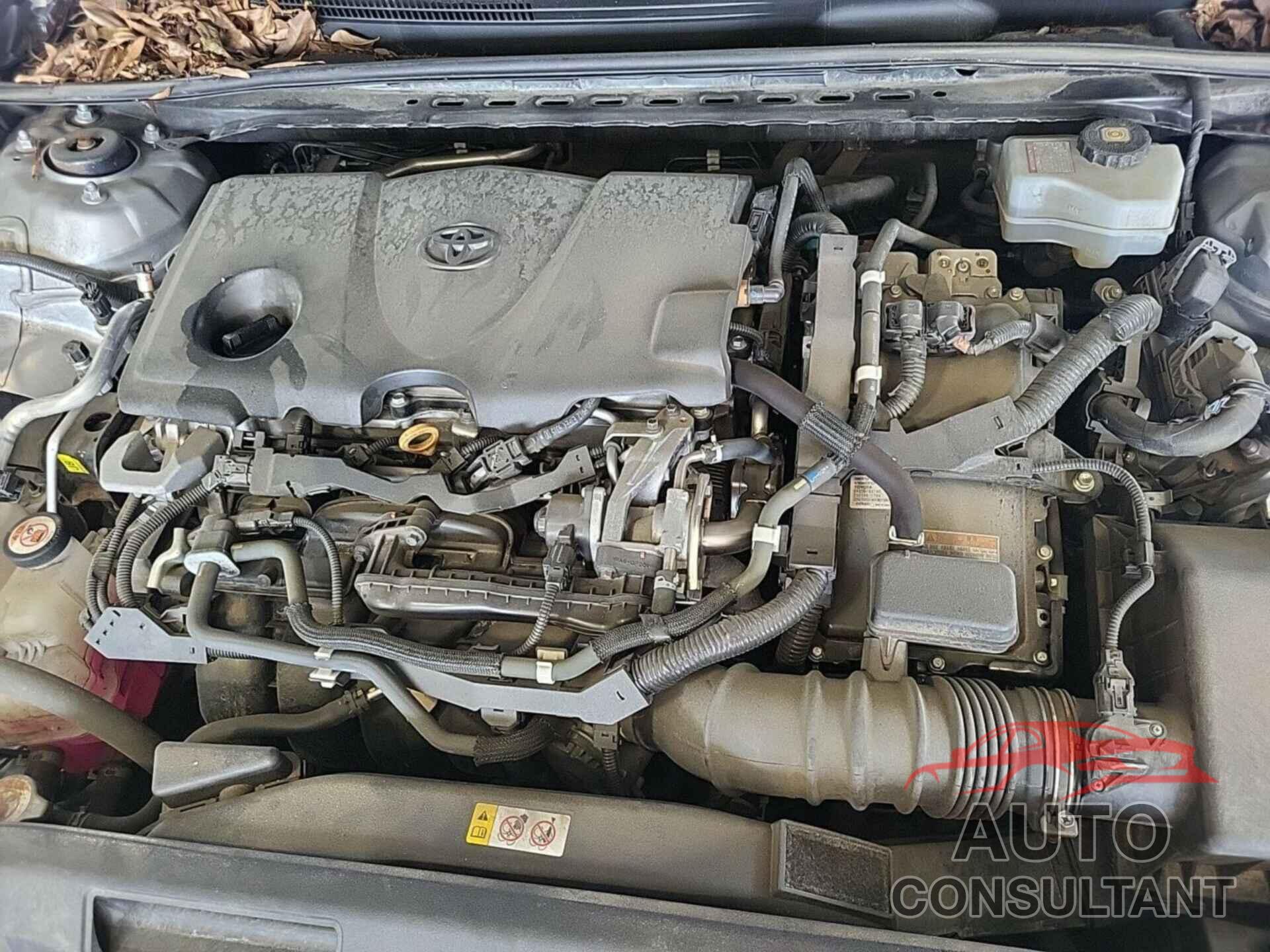 TOYOTA CAMRY 2019 - 4T1B31HK9KU514044