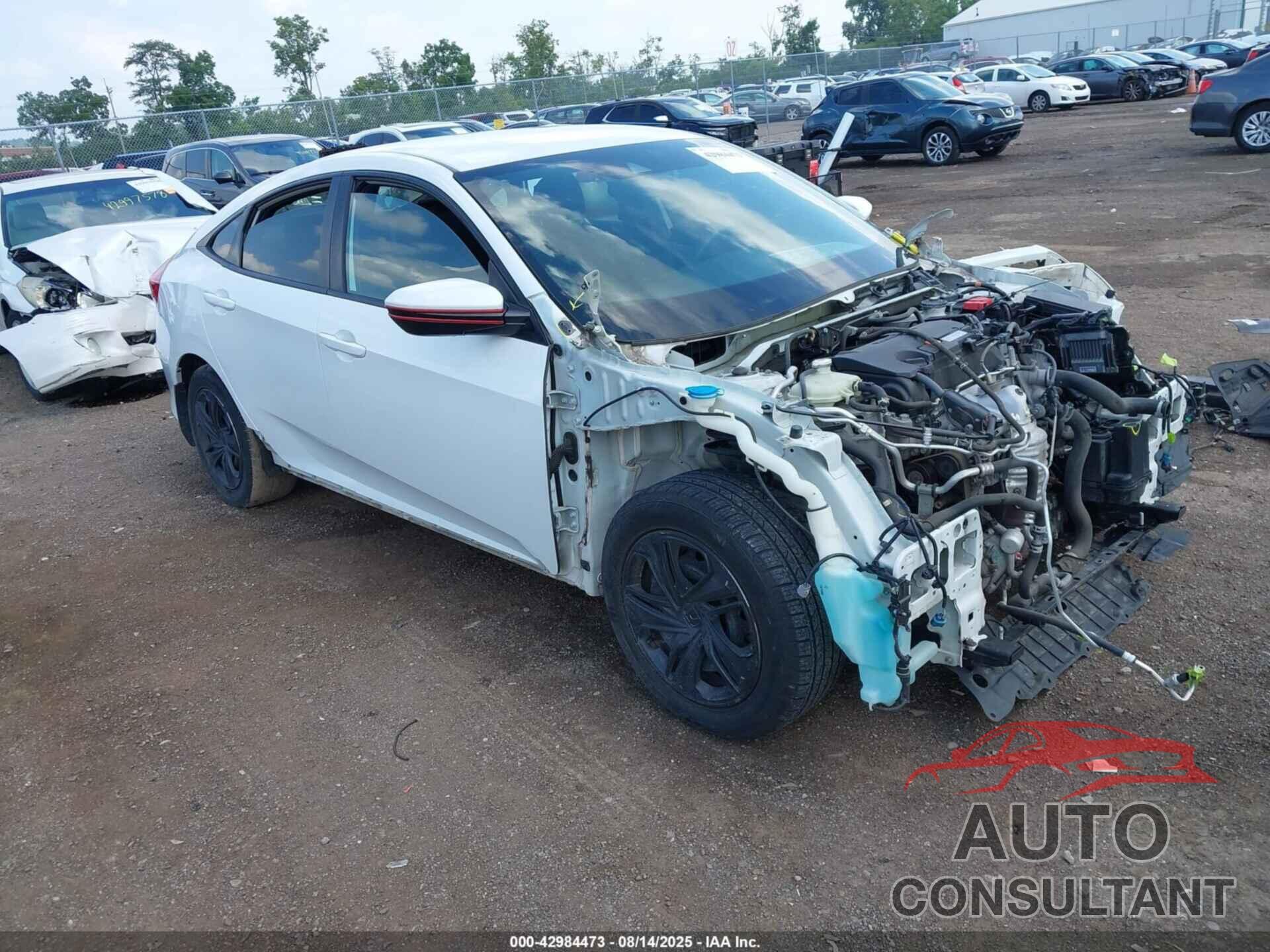 HONDA CIVIC 2019 - 2HGFC2F64KH542713