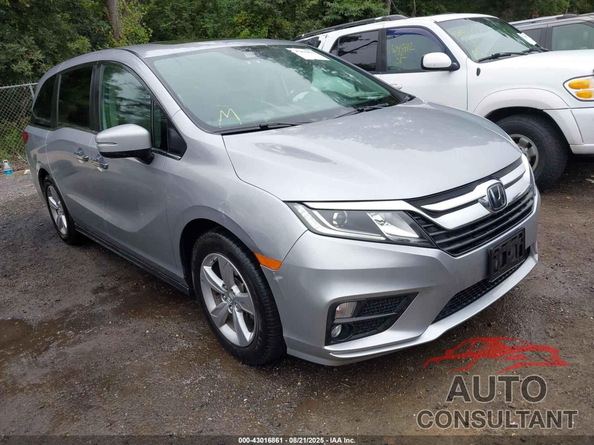 HONDA ODYSSEY 2019 - 5FNRL6H7XKB030890