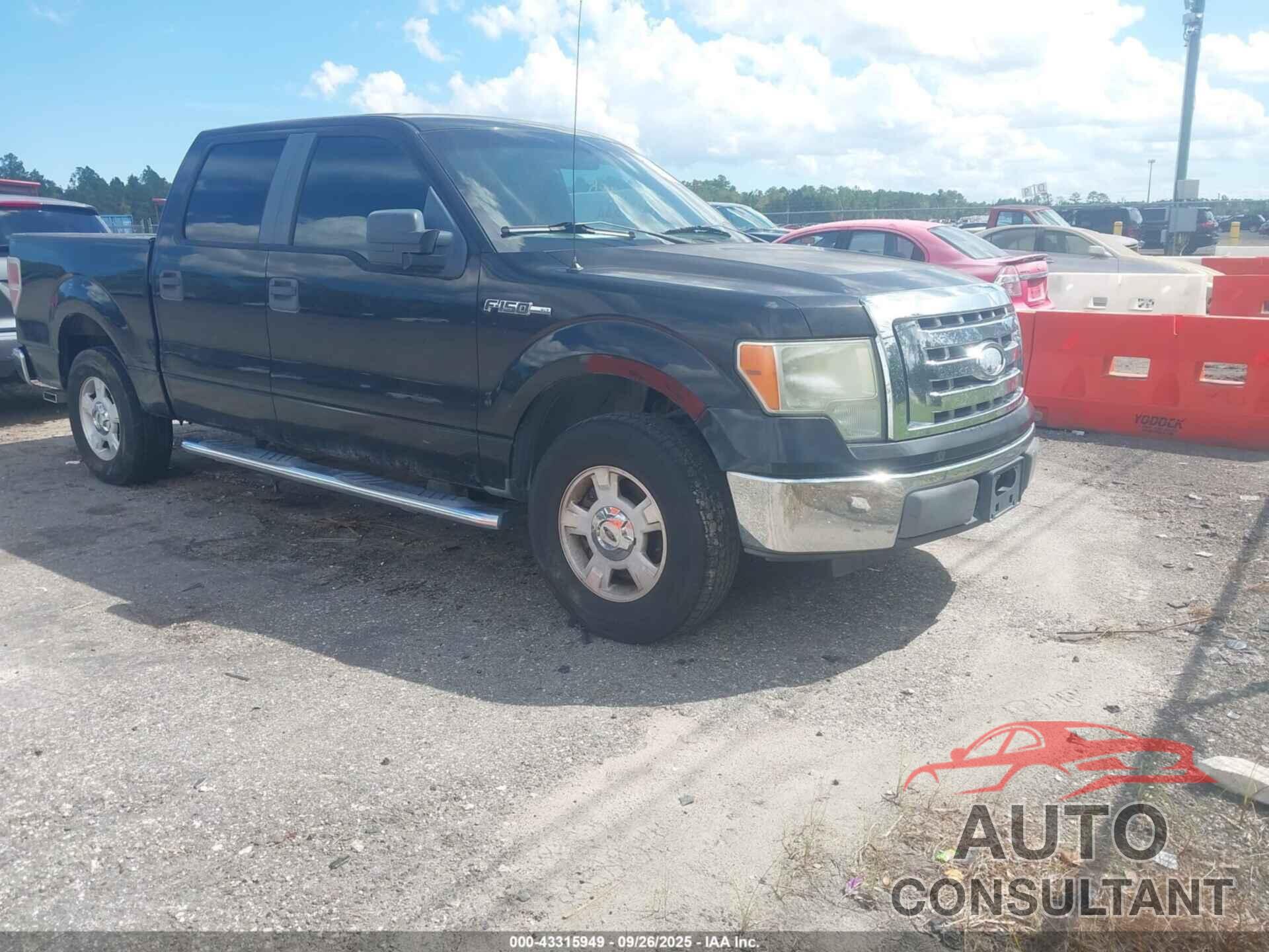 FORD F-150 2010 - 1FTEW1C86AFA60956