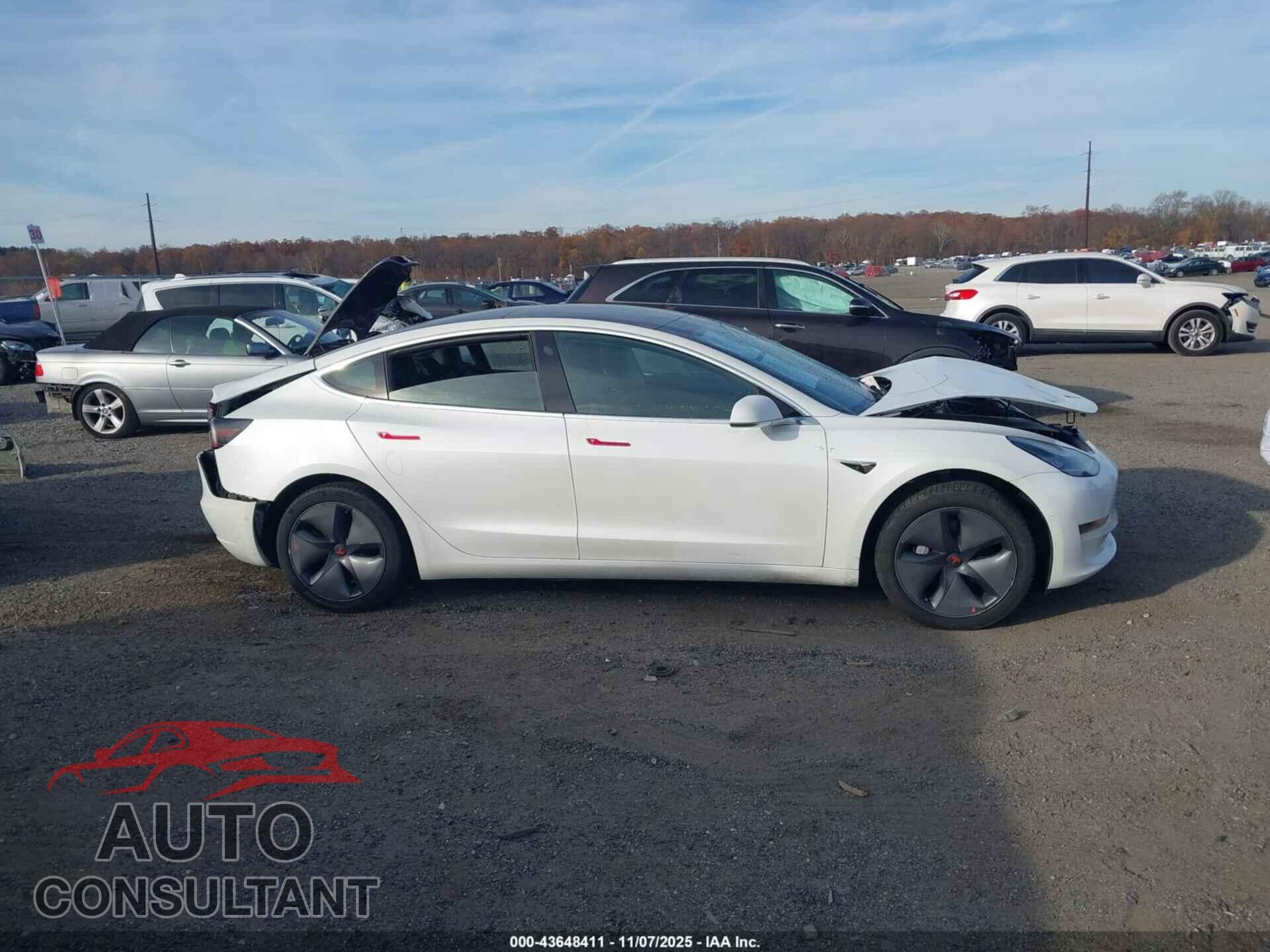 TESLA MODEL 3 2020 - 5YJ3E1EA3LF612799