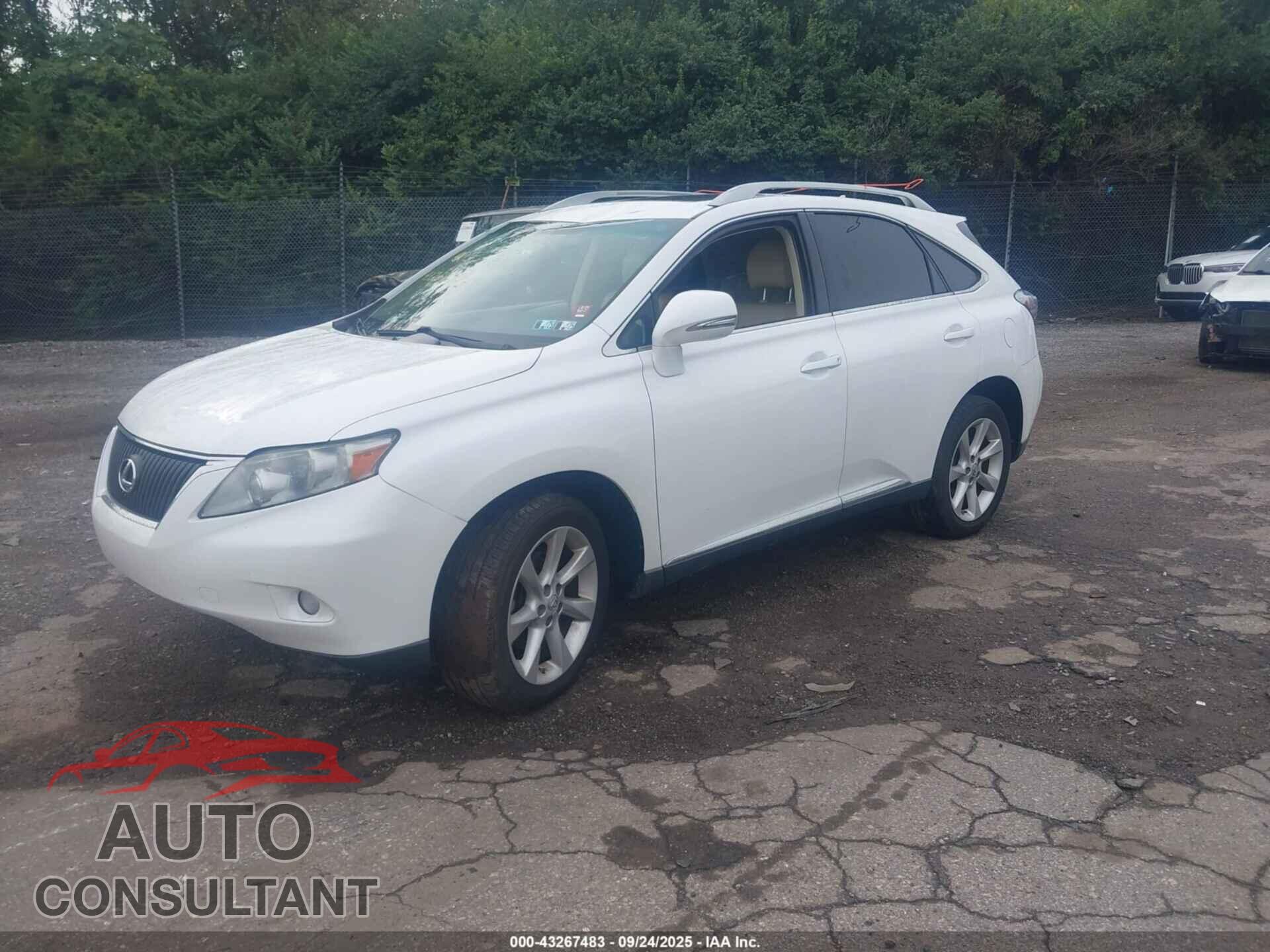 LEXUS RX 350 2011 - 2T2BK1BA1BC091802