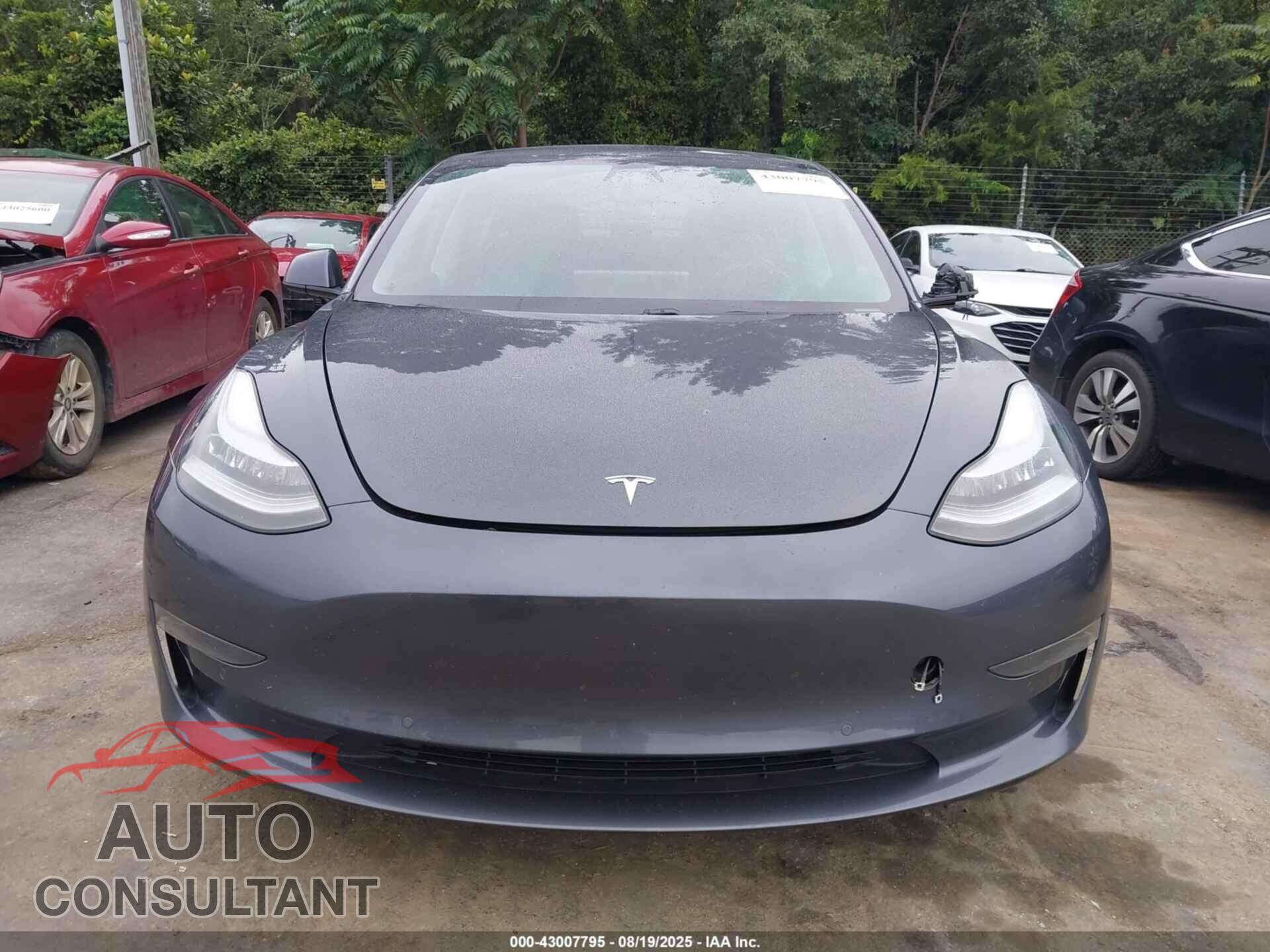 TESLA MODEL 3 2021 - 5YJ3E1EA4MF859413