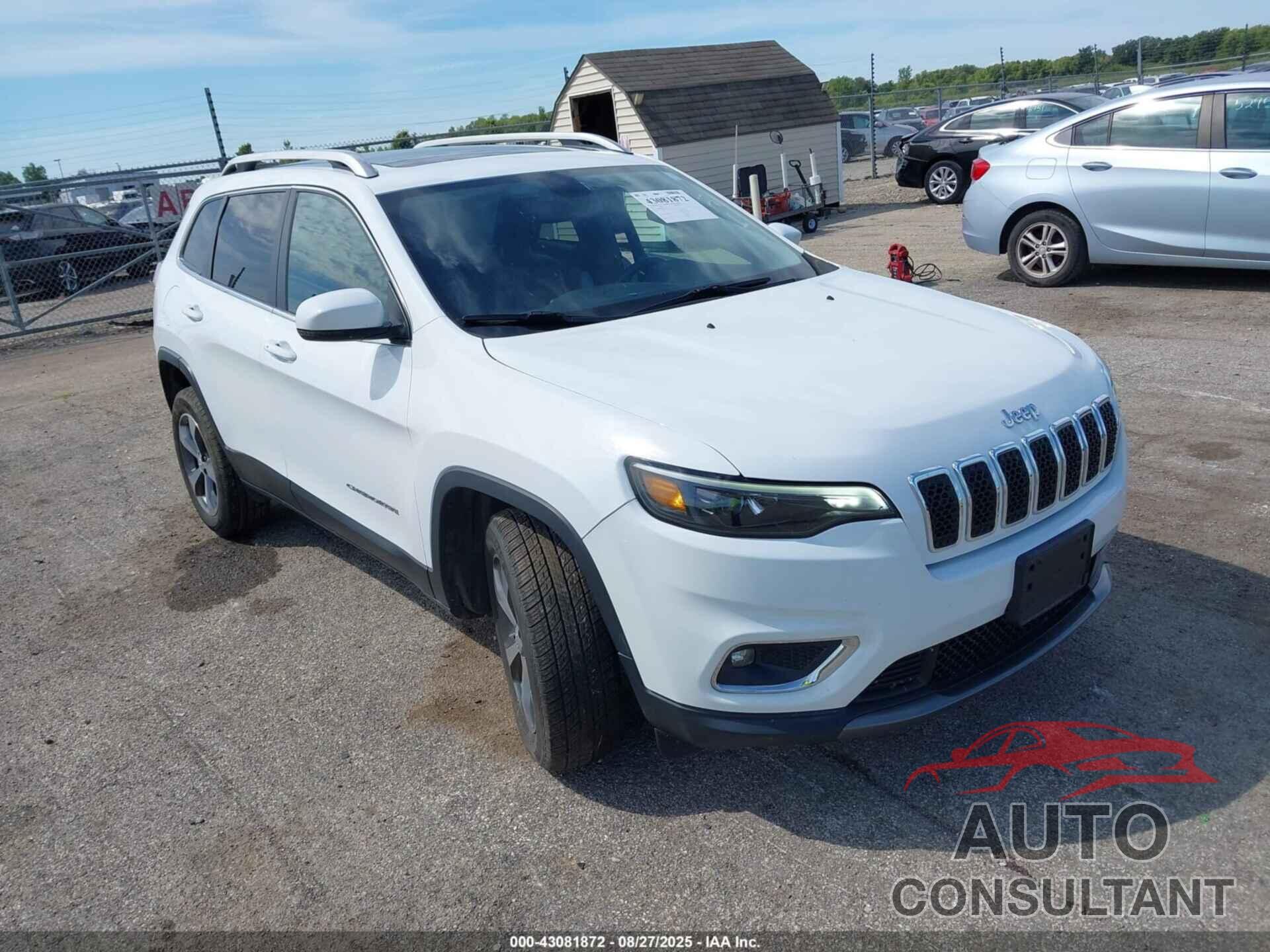 JEEP CHEROKEE 2019 - 1C4PJMDN2KD117342