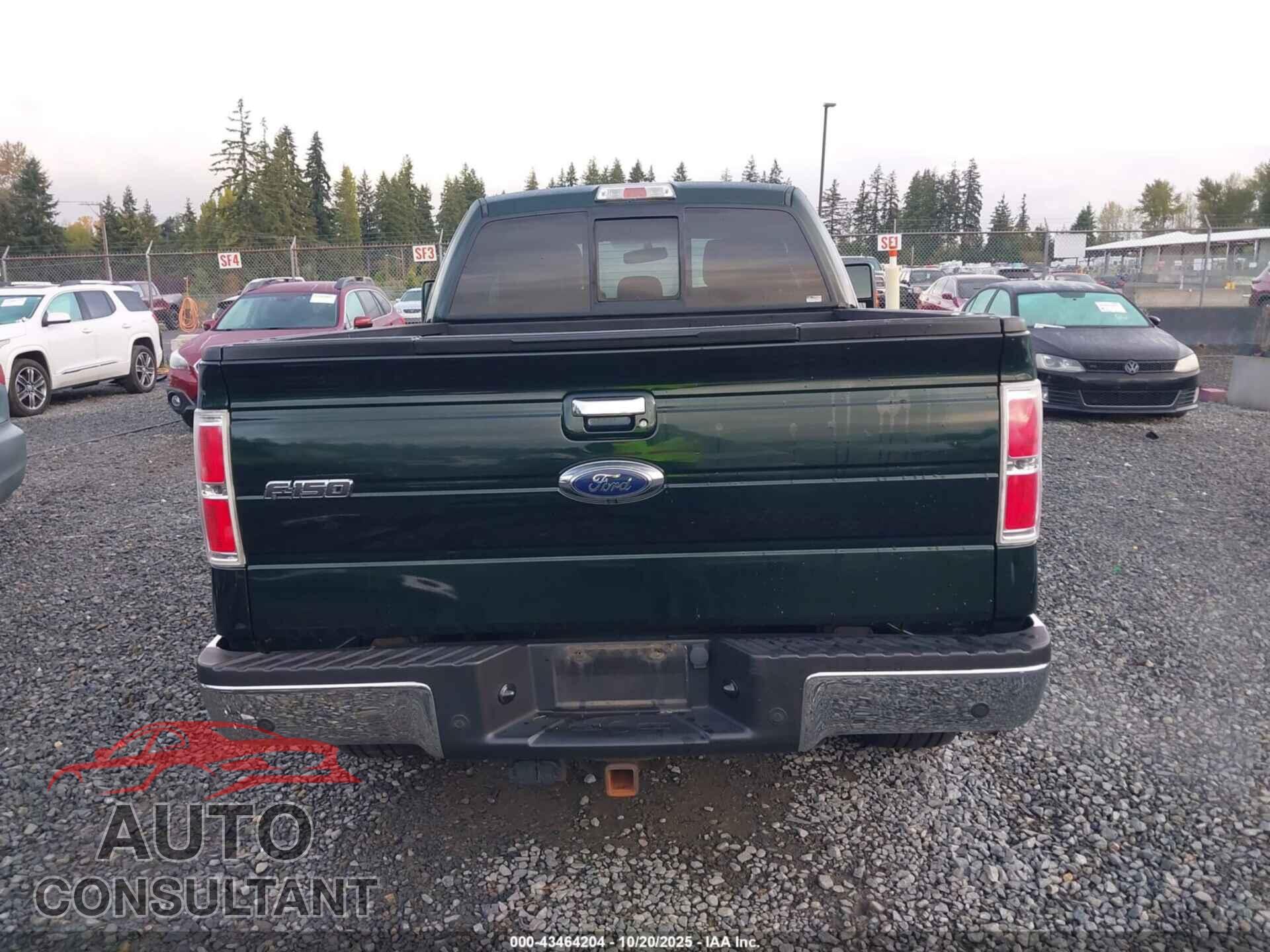 FORD F-150 2013 - 1FTFX1ET7DFD34415