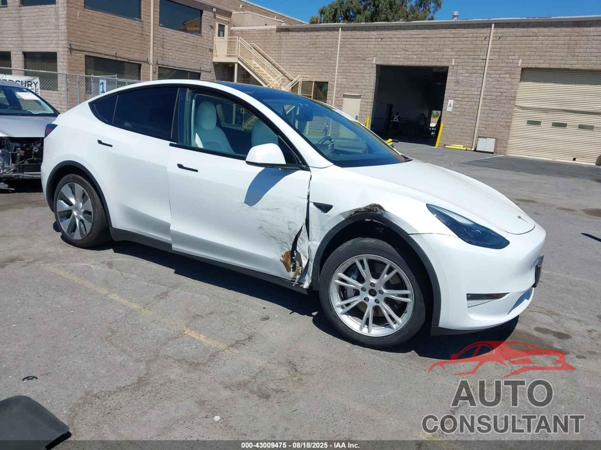 TESLA MODEL Y 2023 - 7SAYGDEE3PF622553