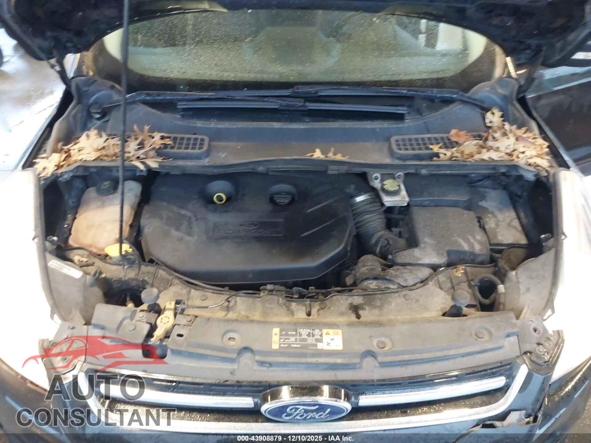 FORD ESCAPE 2016 - 1FMCU9J92GUC14263