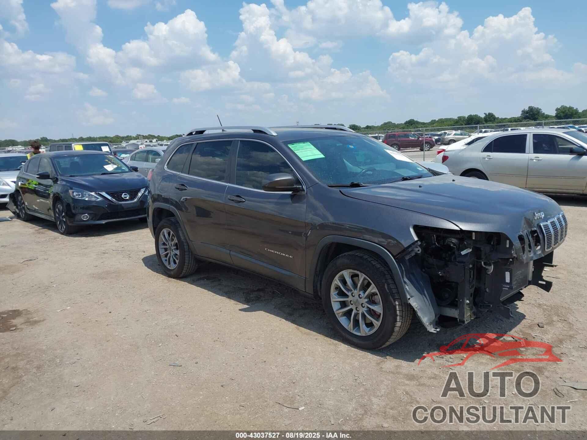 JEEP CHEROKEE 2019 - 1C4PJLLB0KD203007