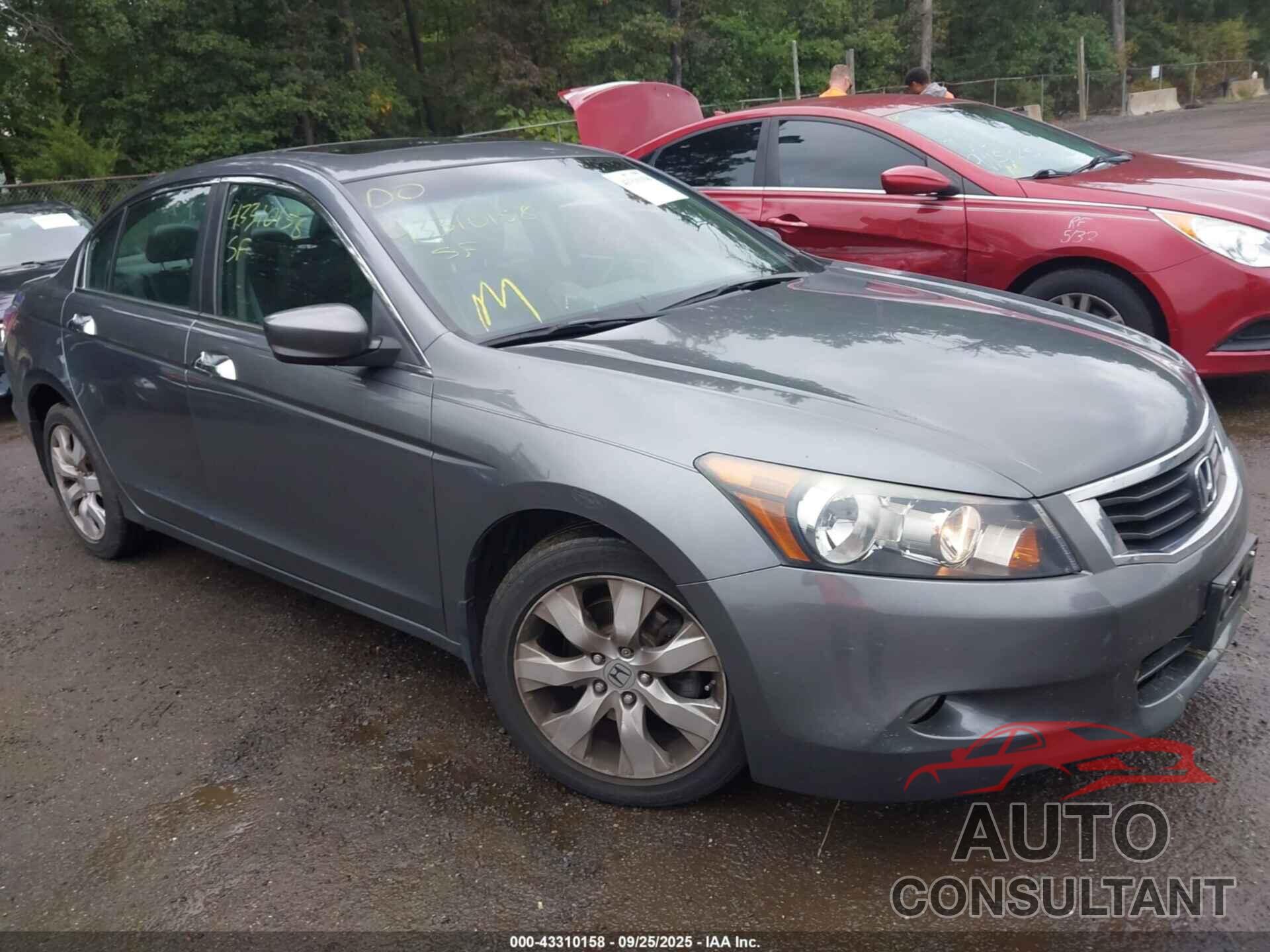 HONDA ACCORD 2010 - 5KBCP3F83AB006113